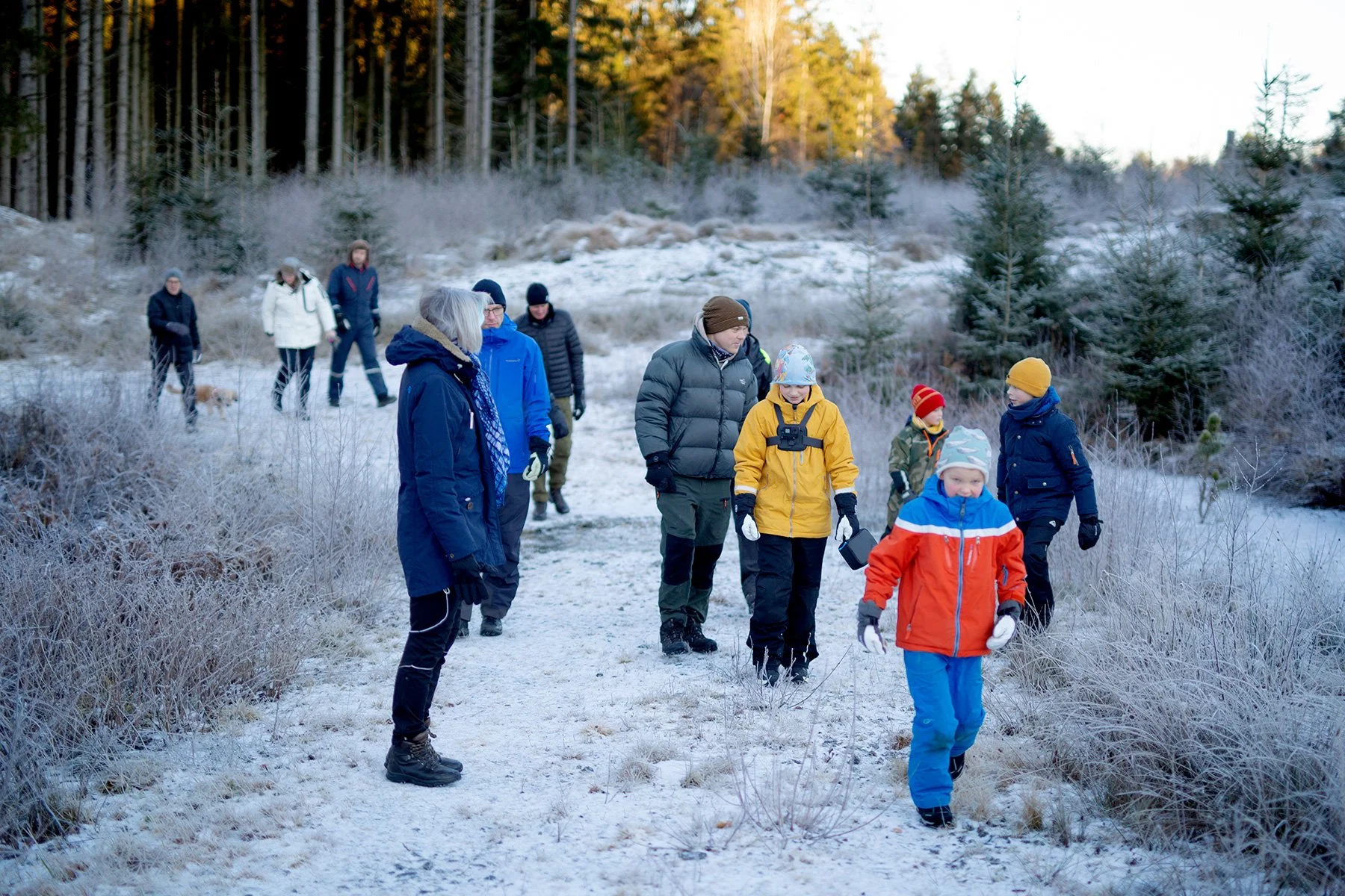 blogg-211225juldagisallstorp7.jpg