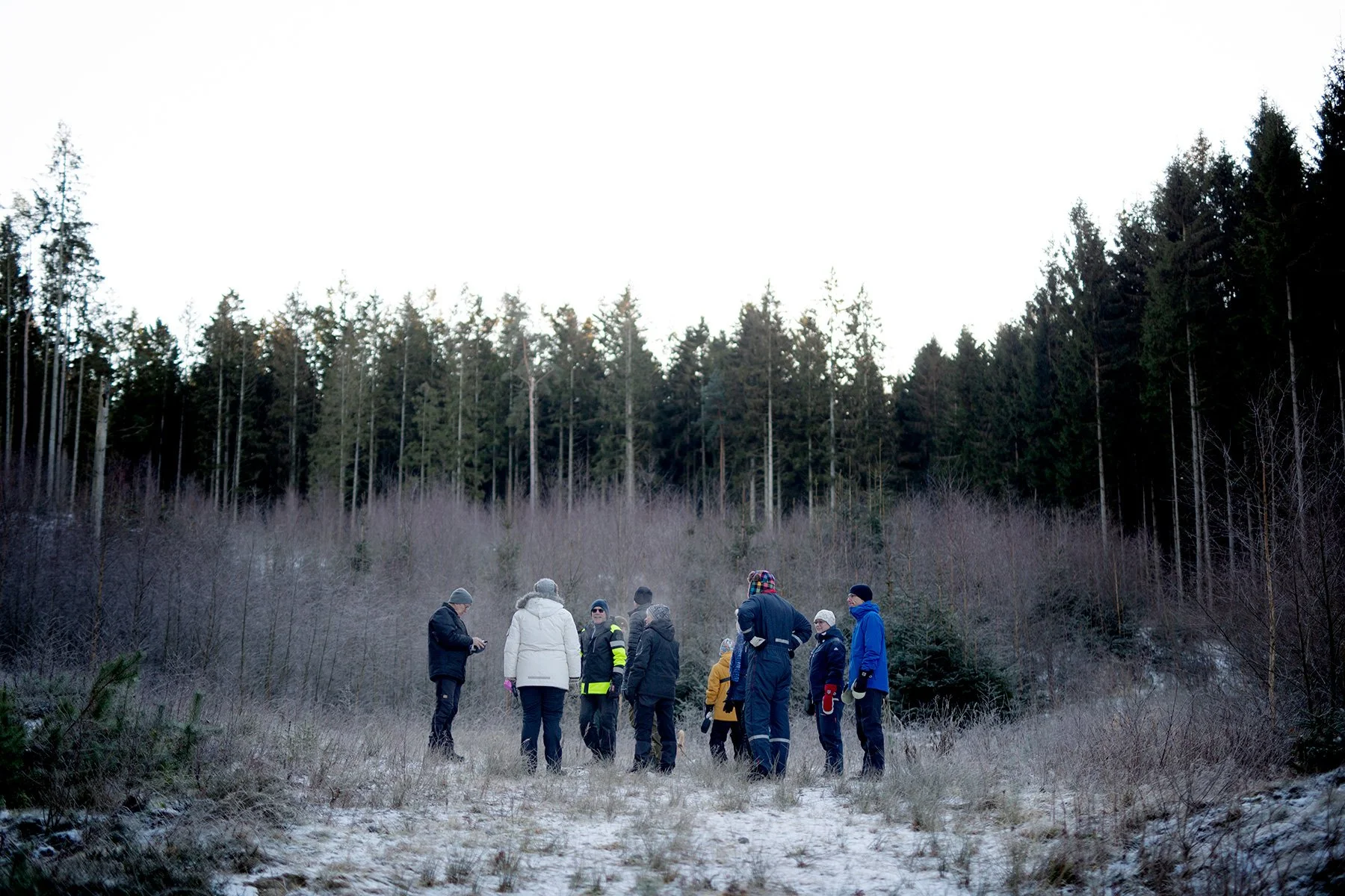 blogg-211225juldagisallstorp12.jpg