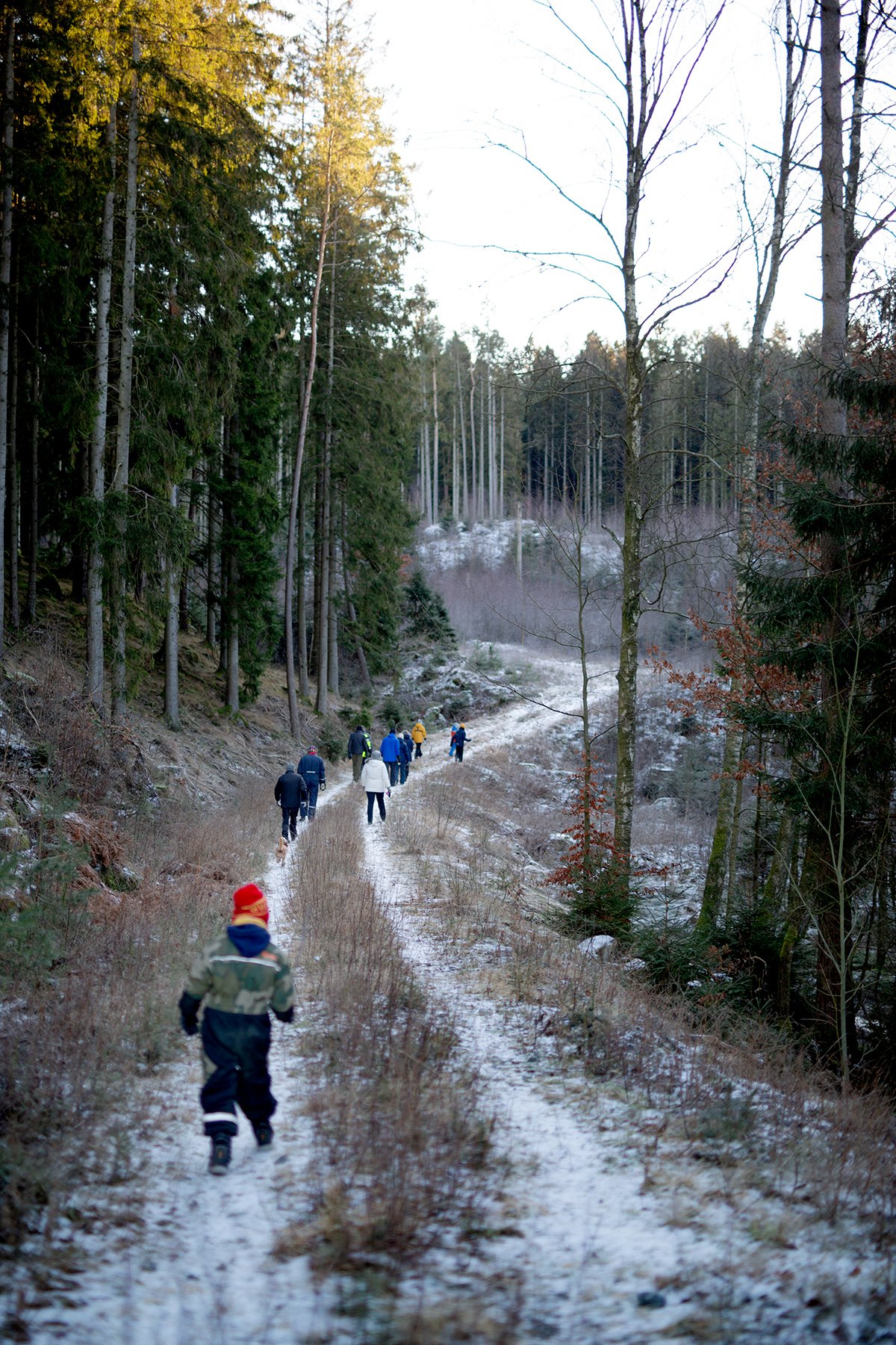 blogg-211225juldagisallstorp11.jpg