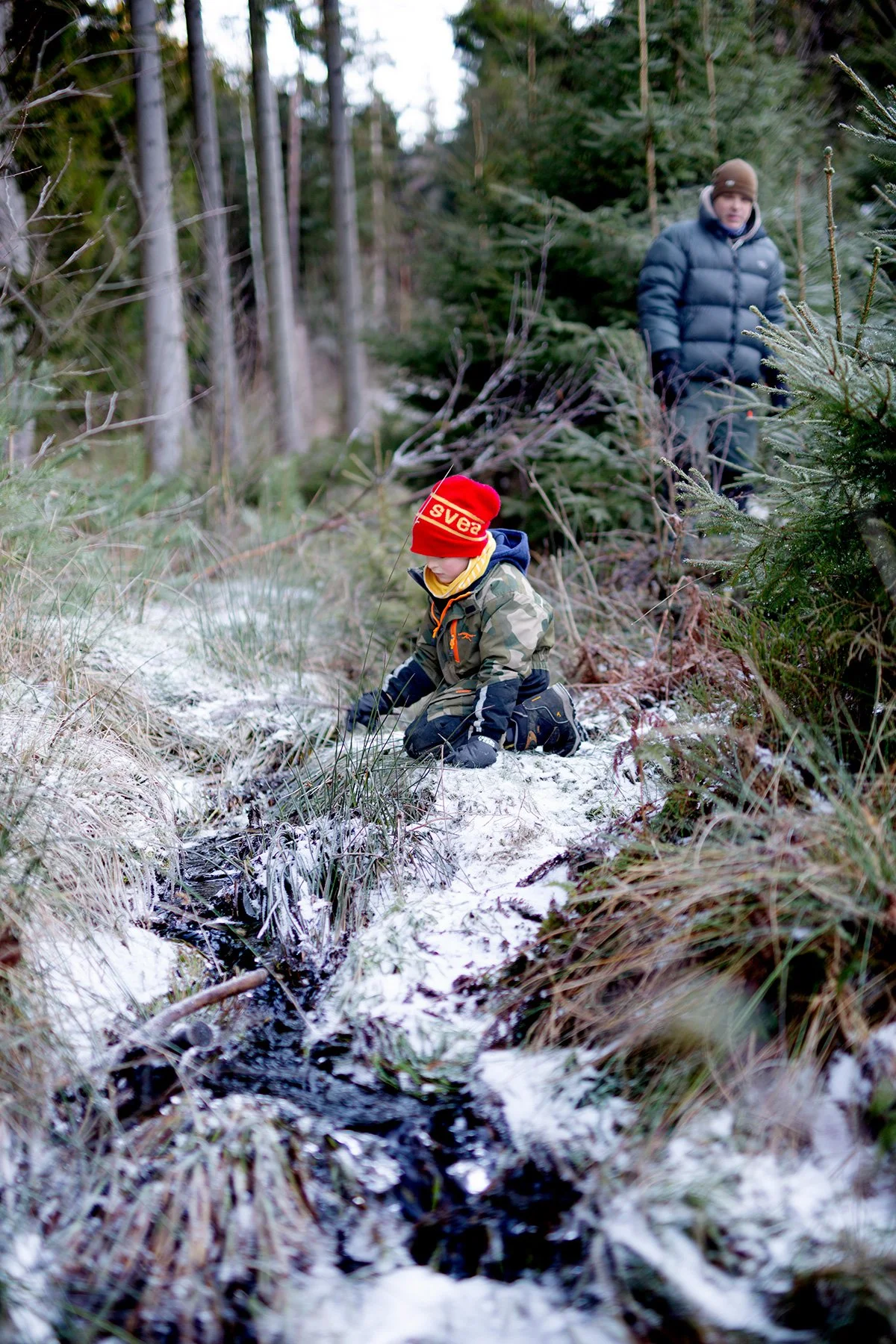 blogg-211225juldagisallstorp16.jpg