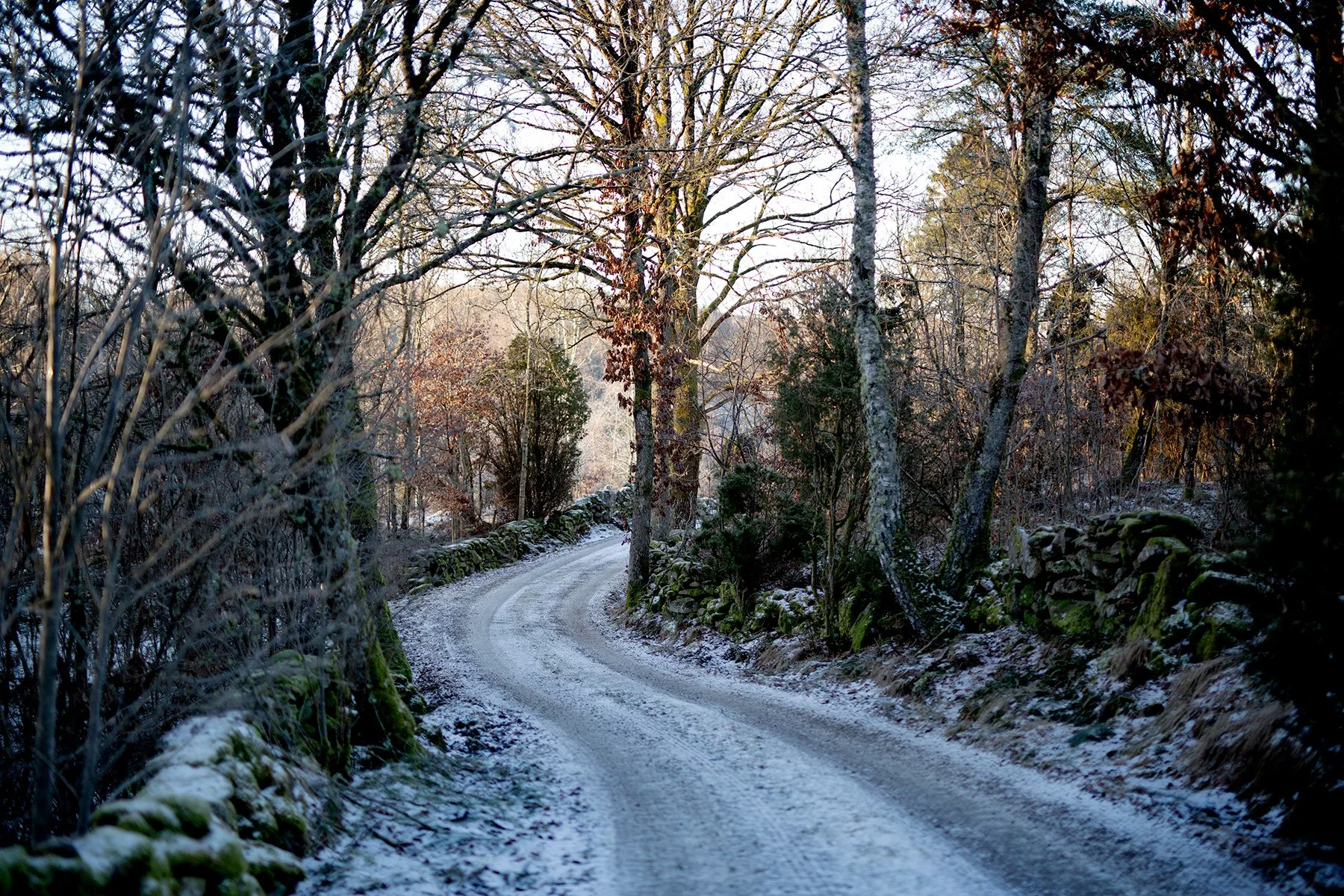 blogg-211225juldagisallstorp28.jpg