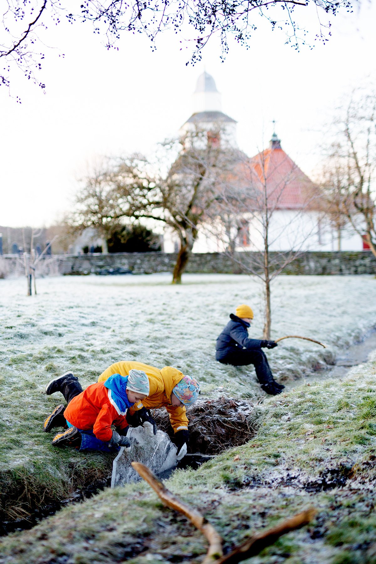 blogg-211225juldagisallstorp49.jpg