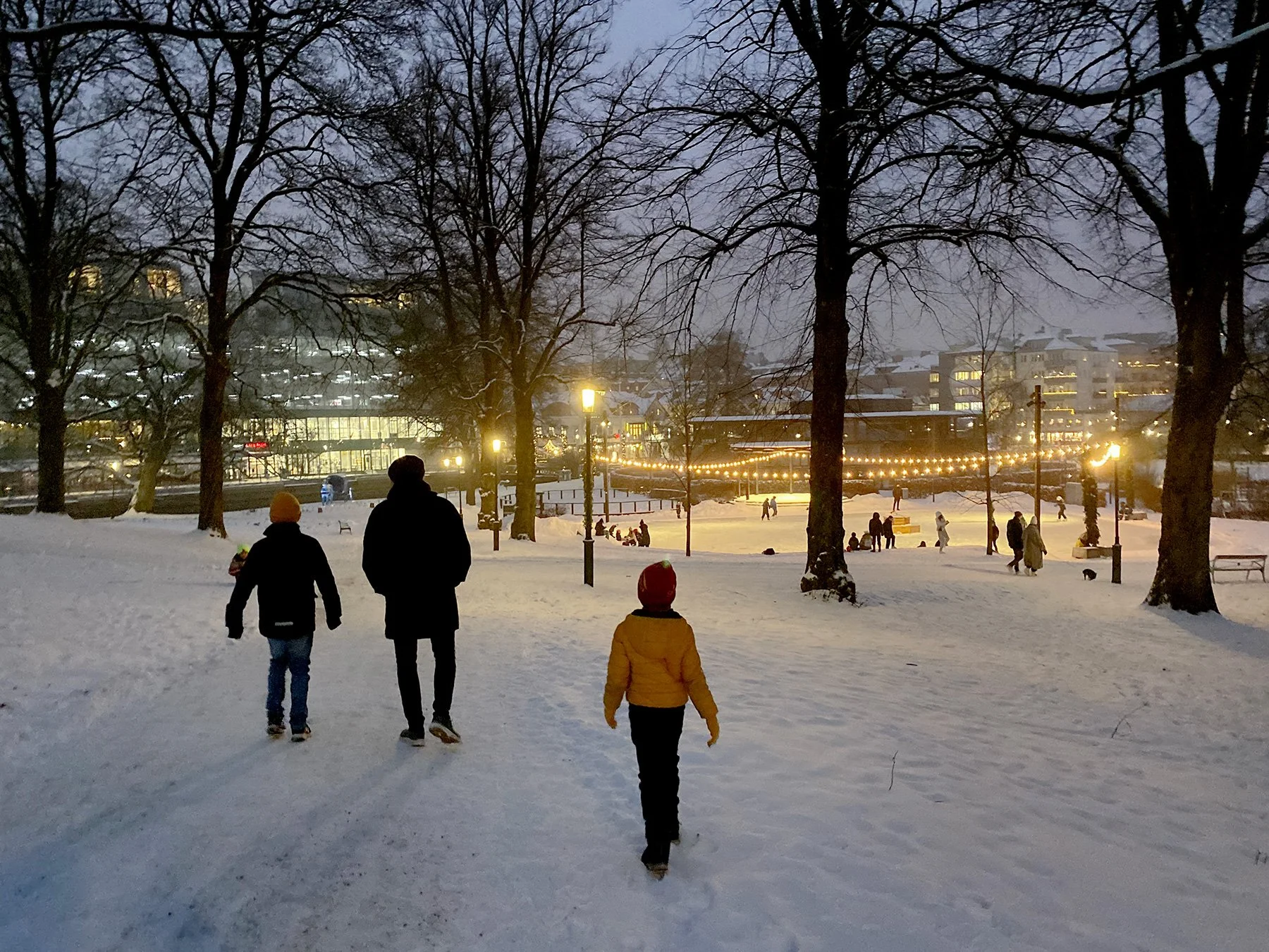 blogg-211229boras1.jpg