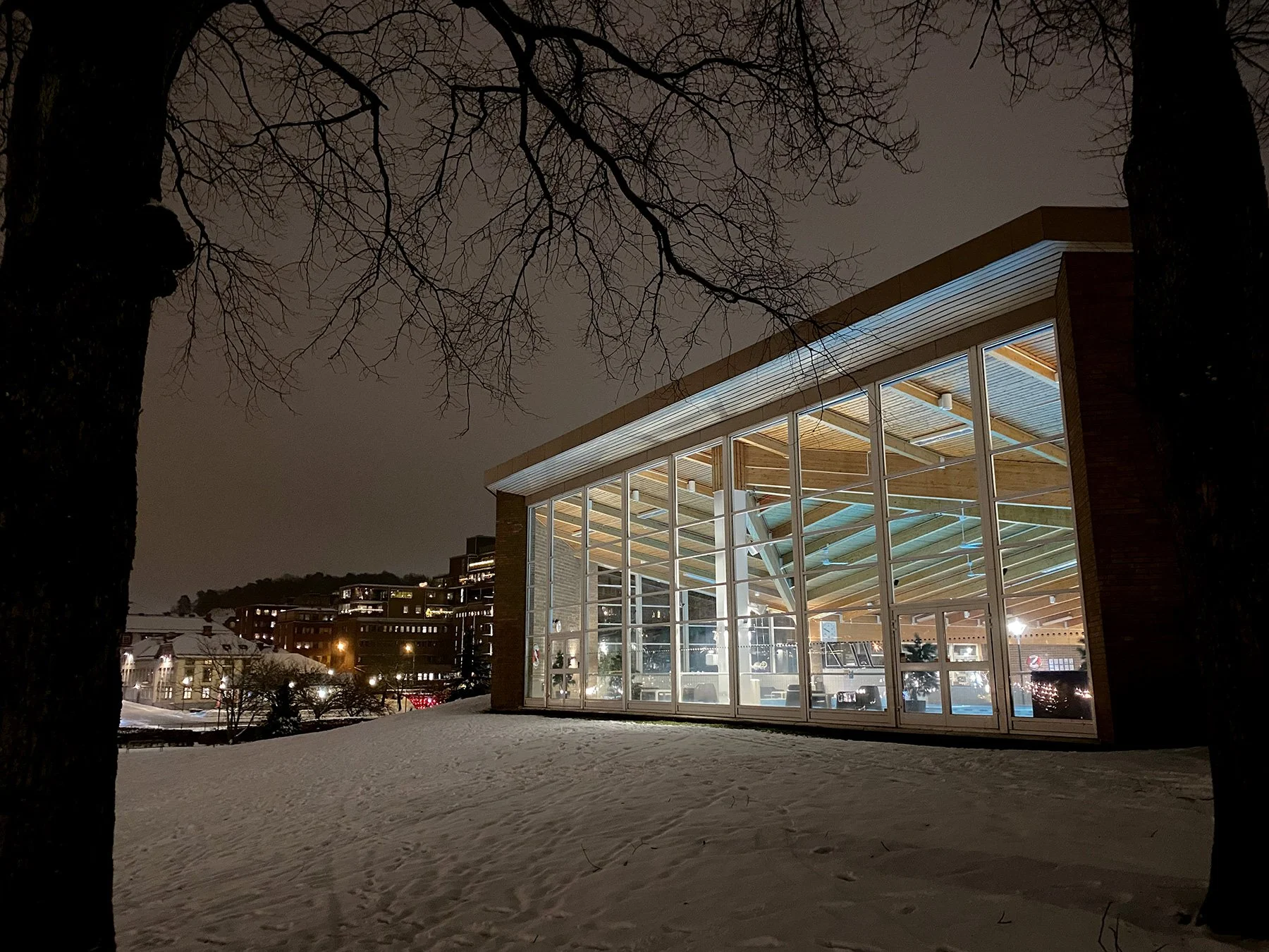 blogg-211229boras10.jpg
