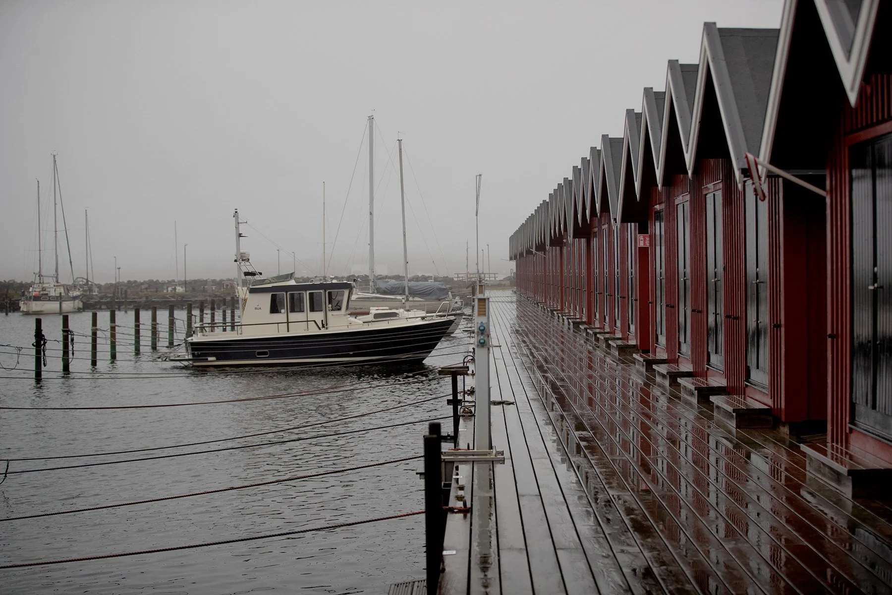 blogg-211231hamnbaleprom1.jpg