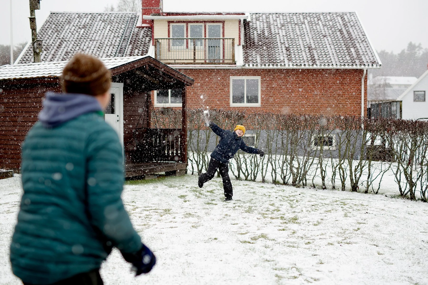 blogg-220109snobollskrig7.jpg
