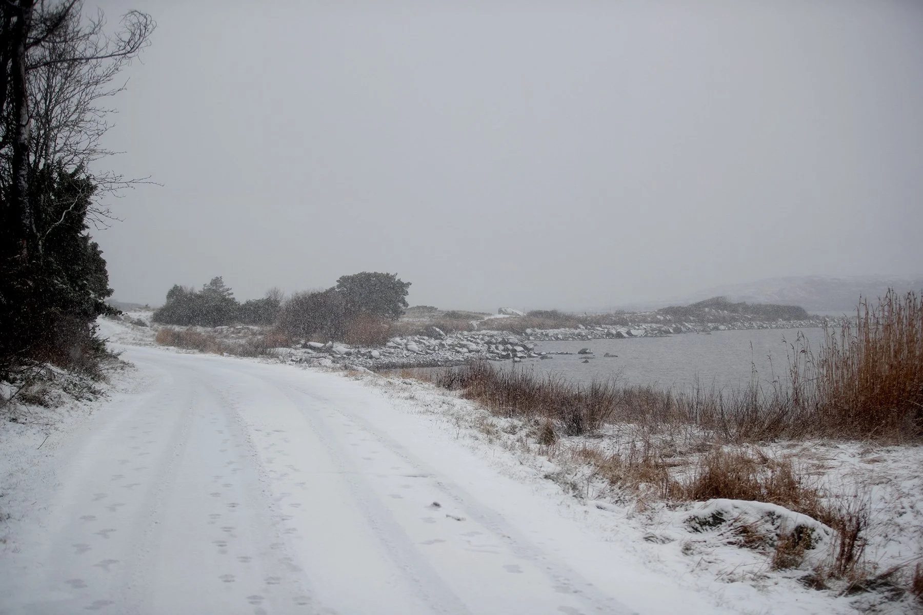 blogg-220109snogloppvidfyren1.jpg