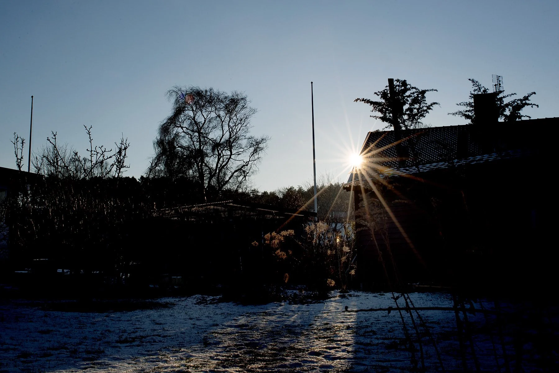 blogg-220110solpaaltanen5.jpg