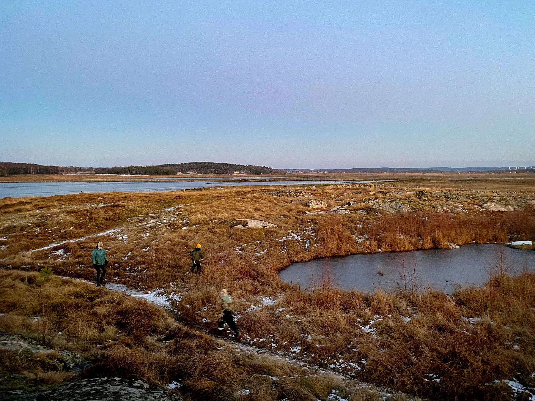 blogg-220110balekvall5.jpg