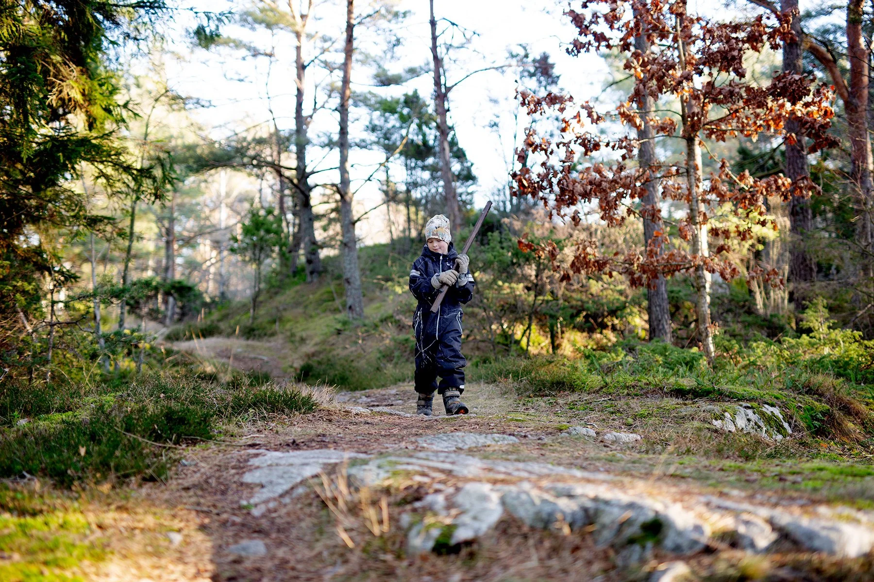 blogg-220117pinnbrodseldiskogen3.jpg