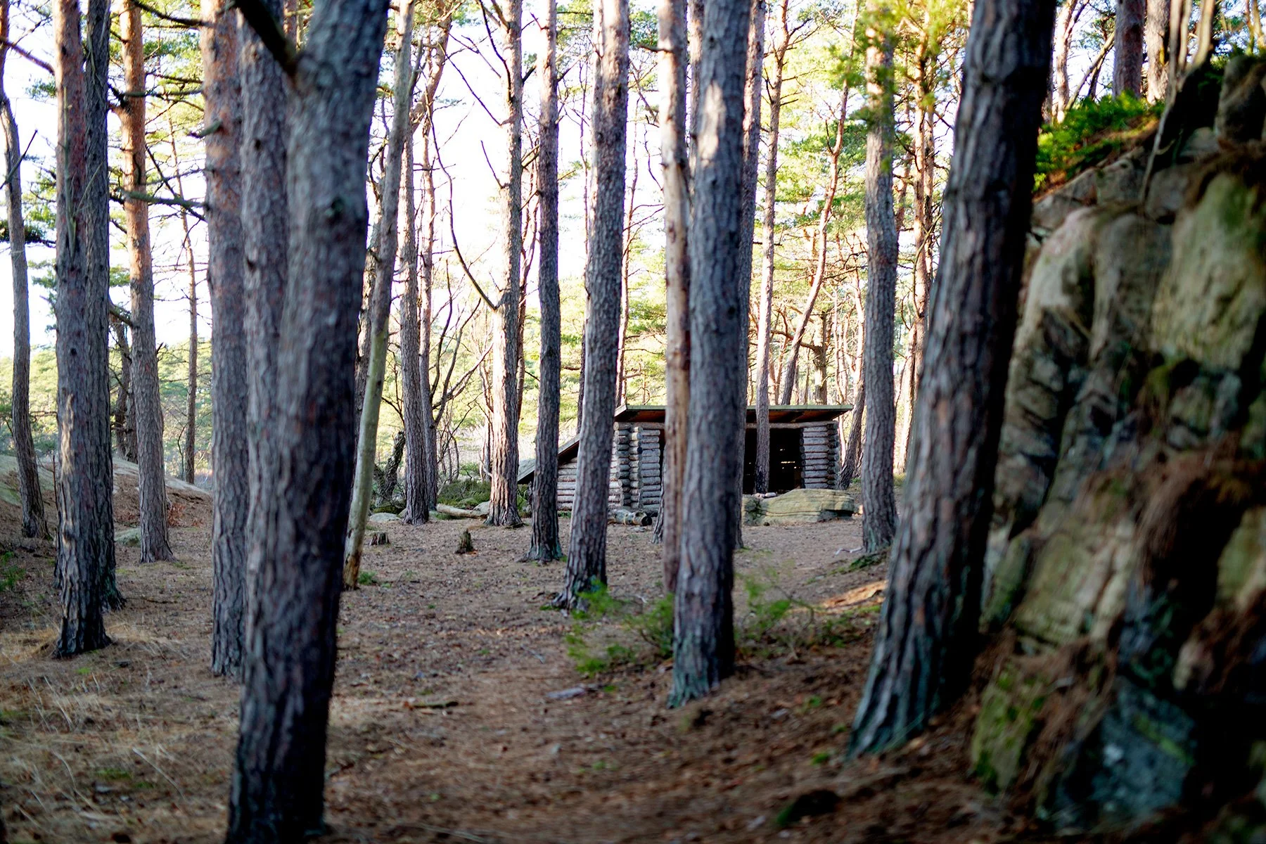 blogg-220117pinnbrodseldiskogen4.jpg