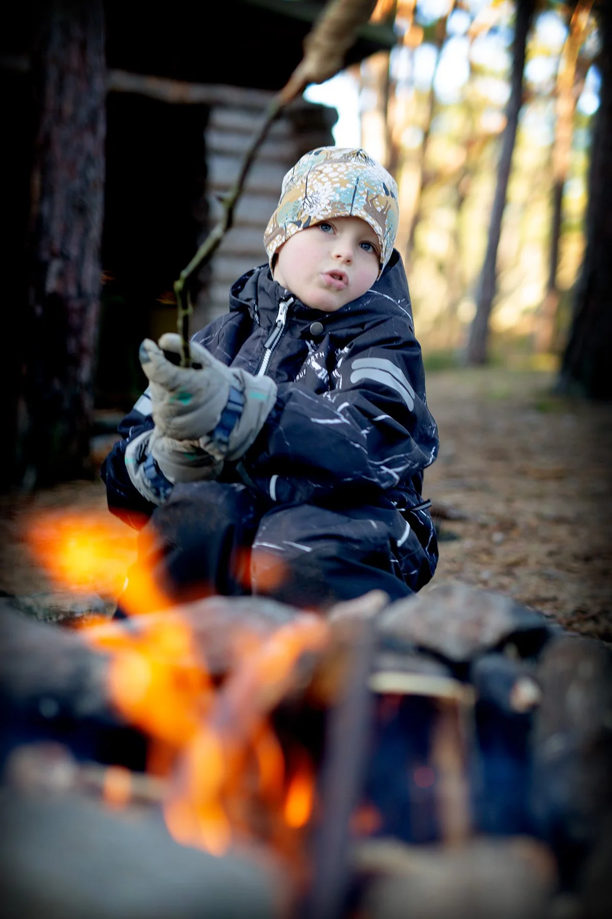 blogg-220117pinnbrodseldiskogen13.jpg