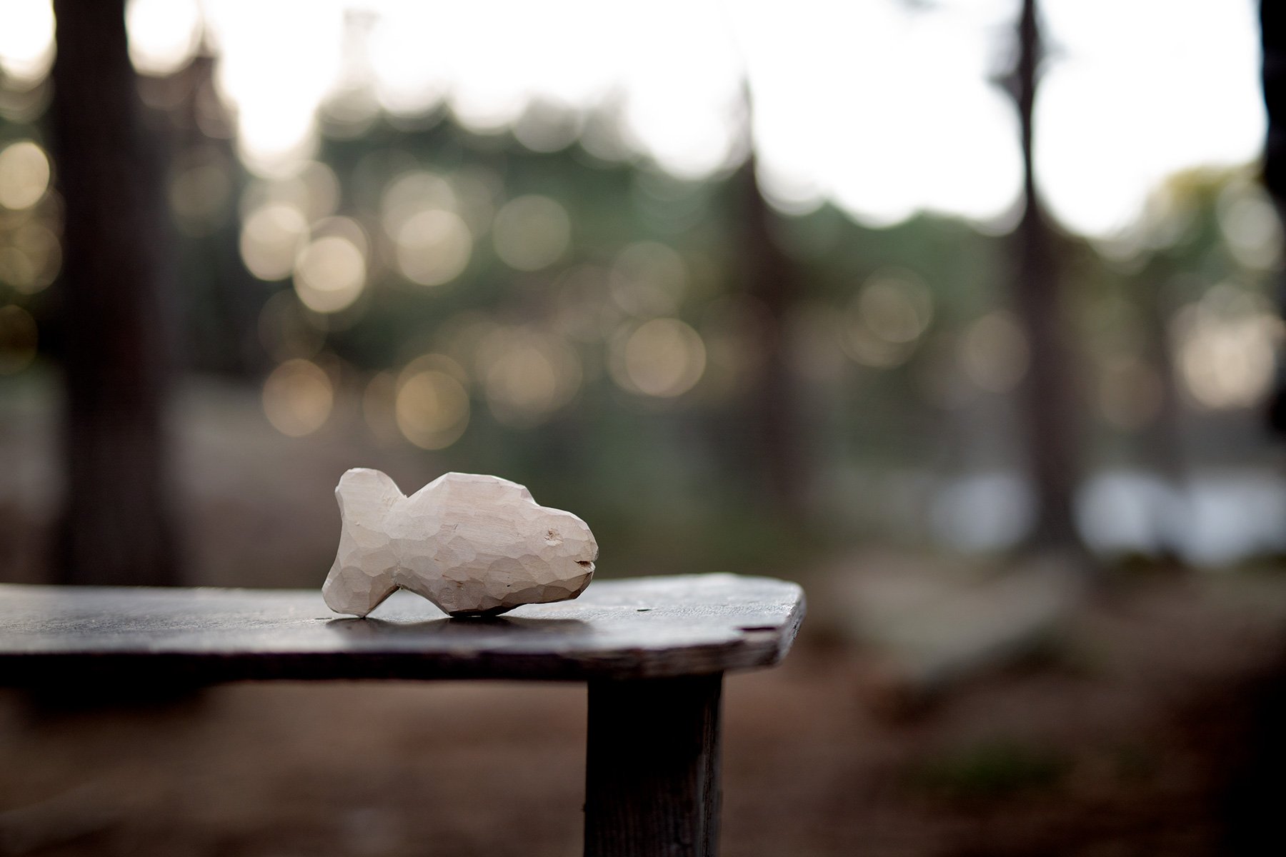 blogg-220117pinnbrodseldiskogen18.jpg