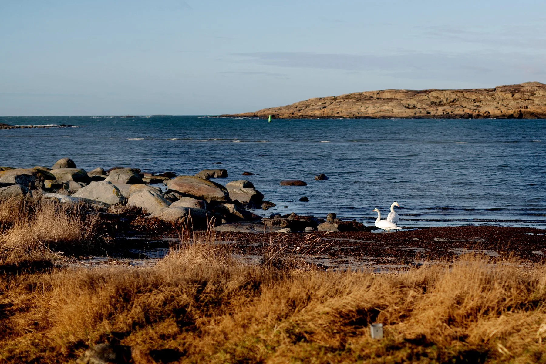 blogg-220121fyren1.jpg