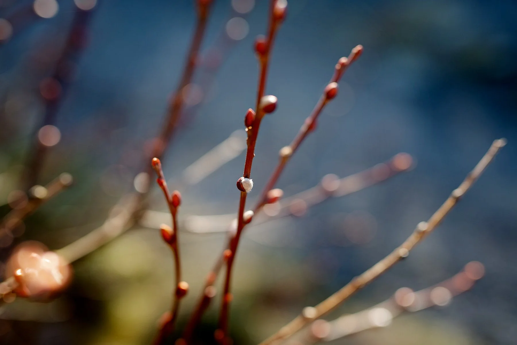 blogg-220121fyren3.jpg
