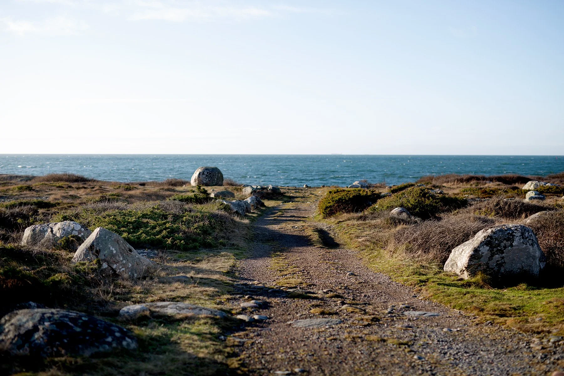 blogg-220121fyren4.jpg