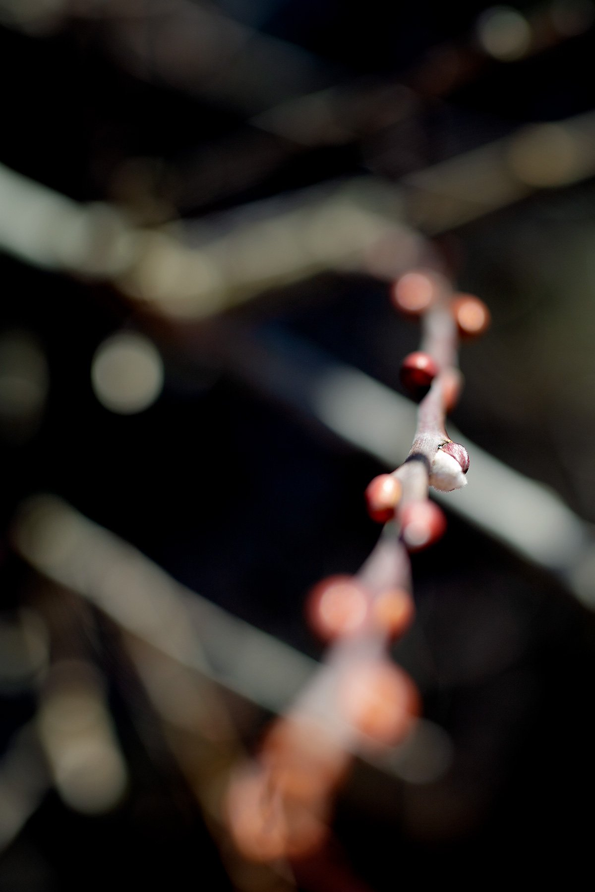 blogg-220121fyren6.jpg
