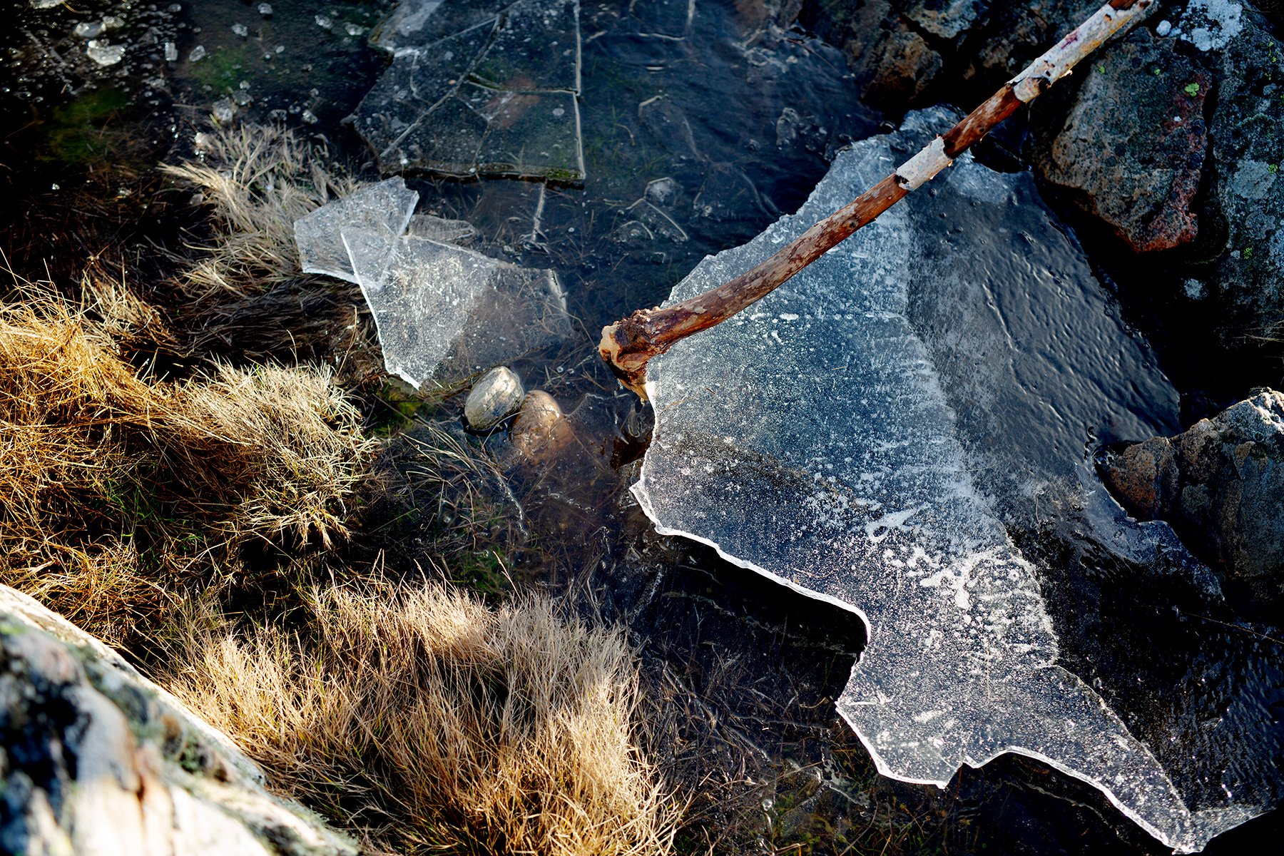 blogg-220121fyren14.jpg