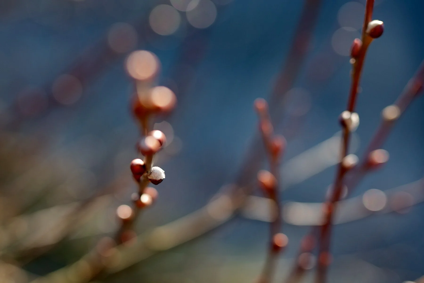 blogg-220121fyren32.jpg