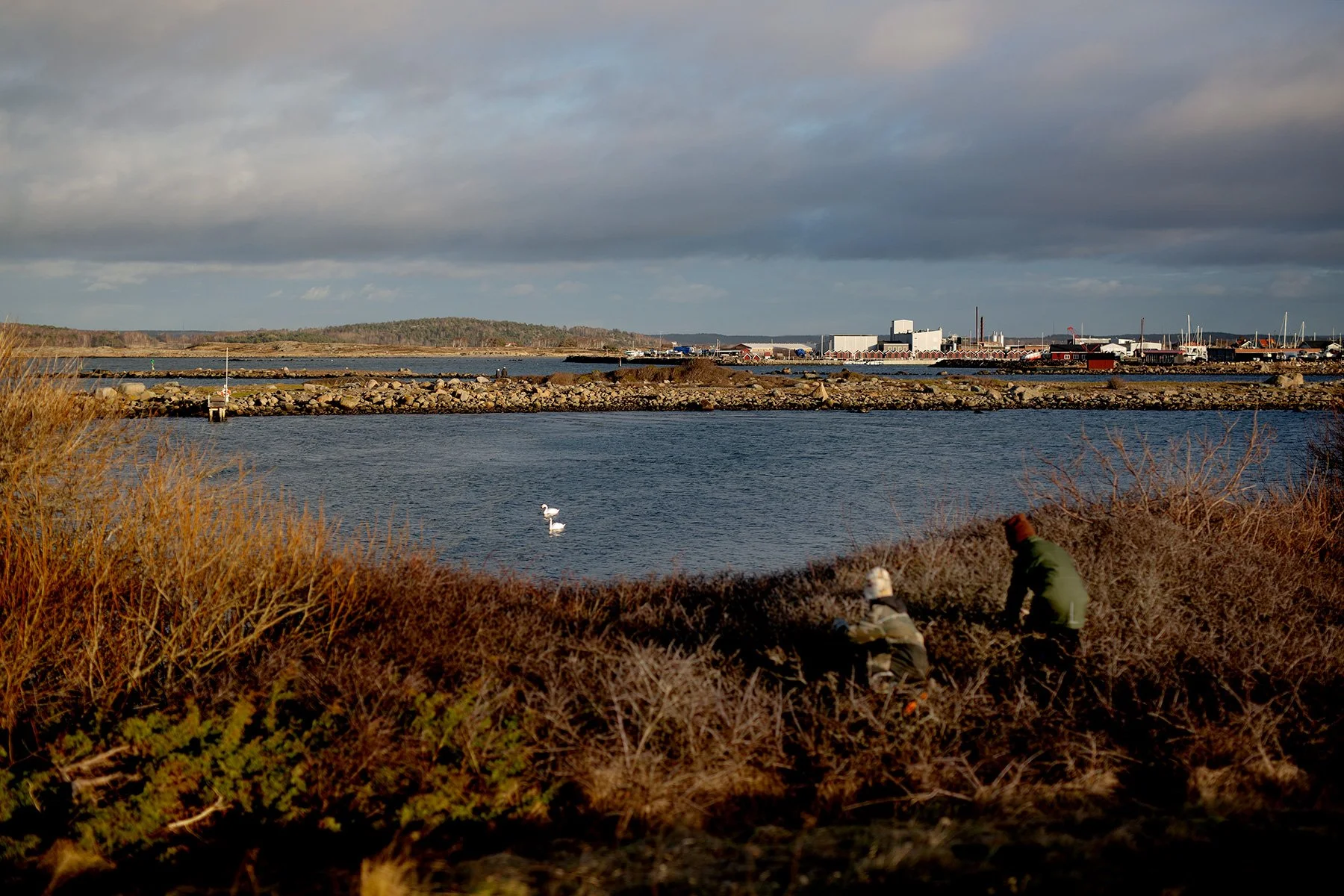 blogg-220121fyren34.jpg