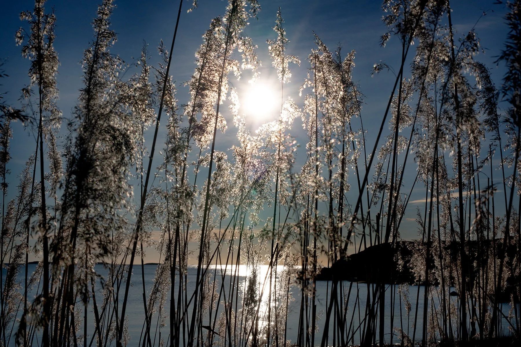 blogg-220118sanddamm3.jpg