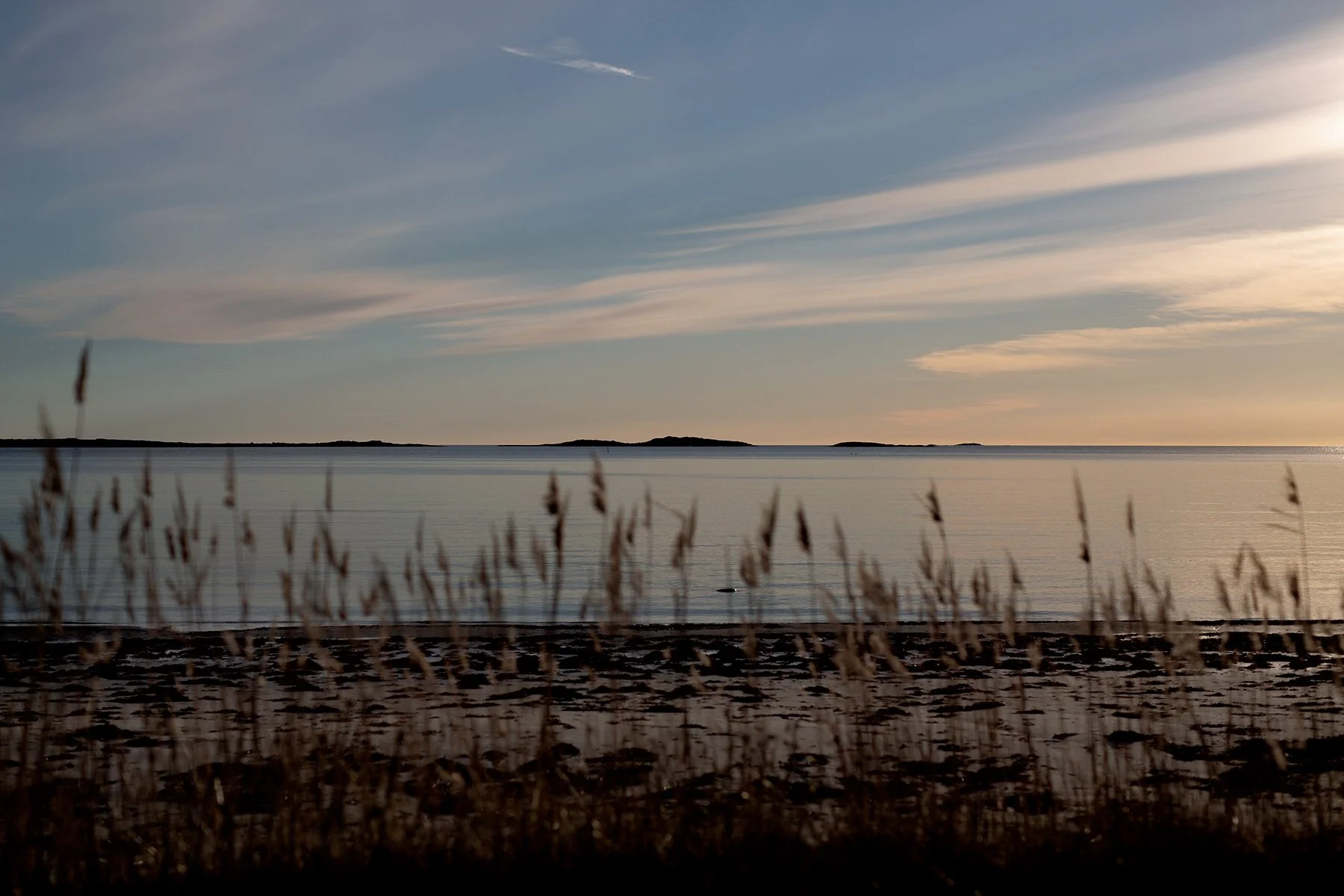blogg-220118sanddamm12.jpg