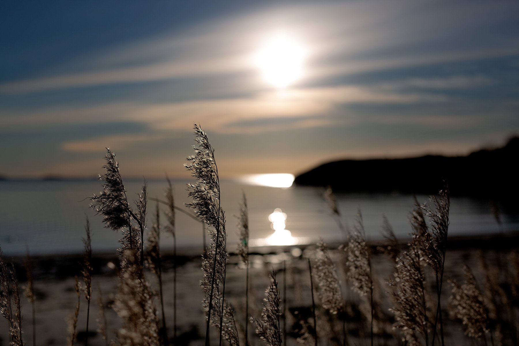 blogg-220118sanddamm34.jpg