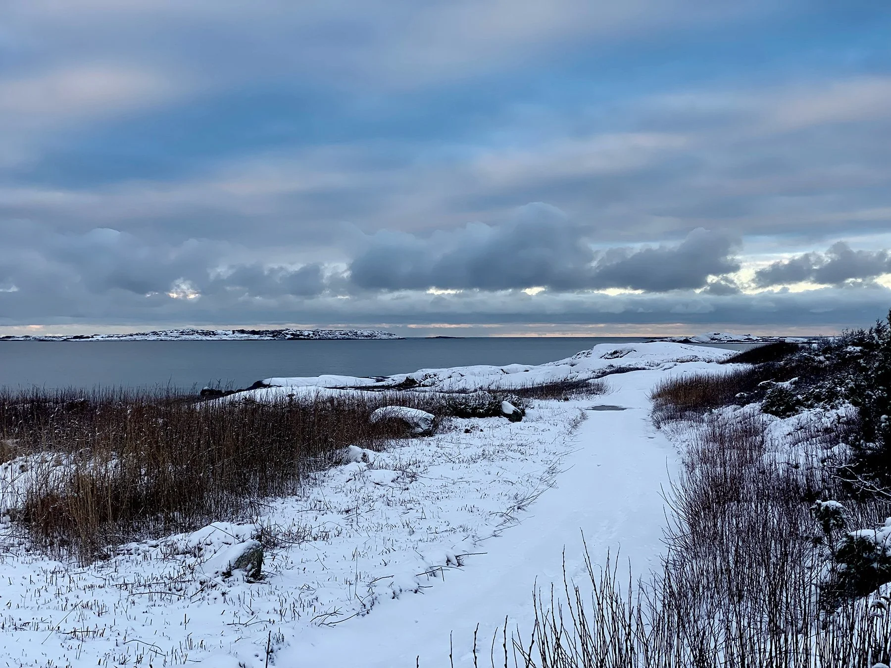 blogg-220202tollvikspromenad6.jpg