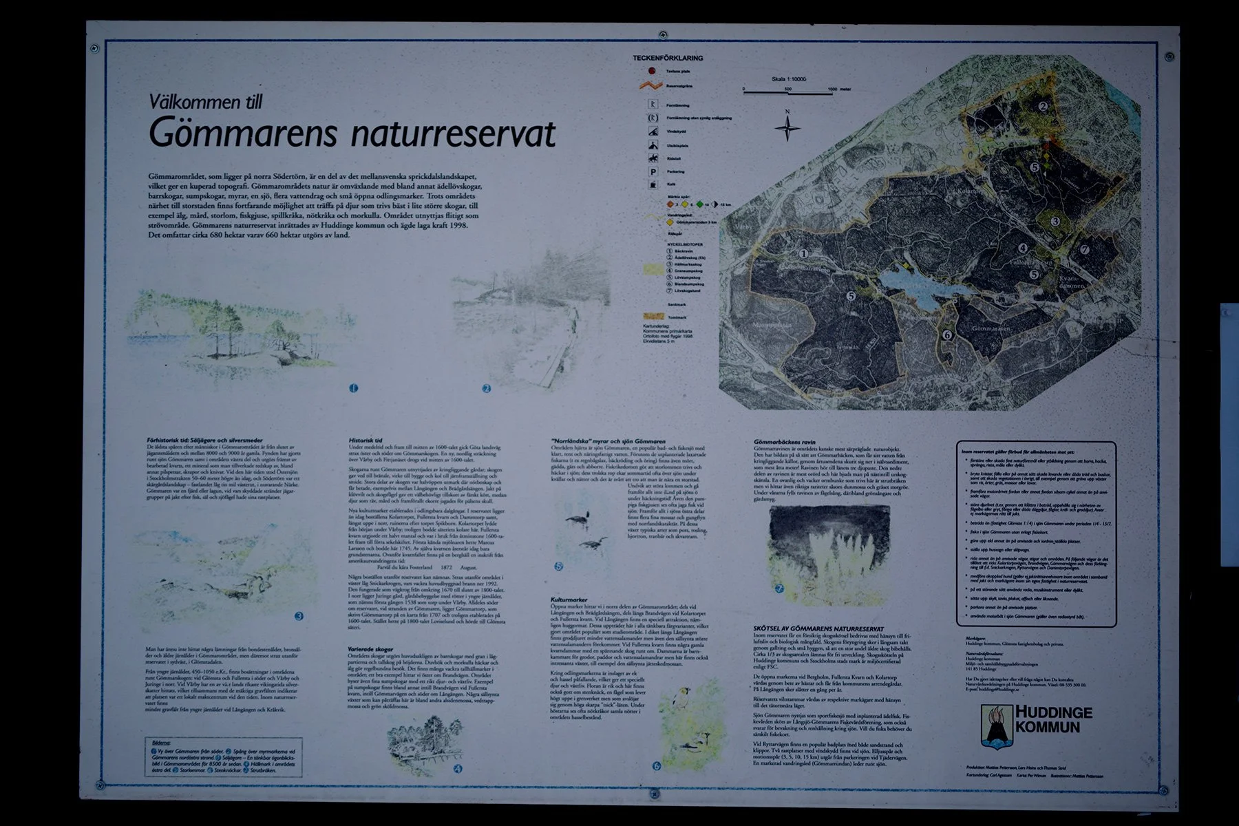 blogg-220219gommarenskogen1.jpg