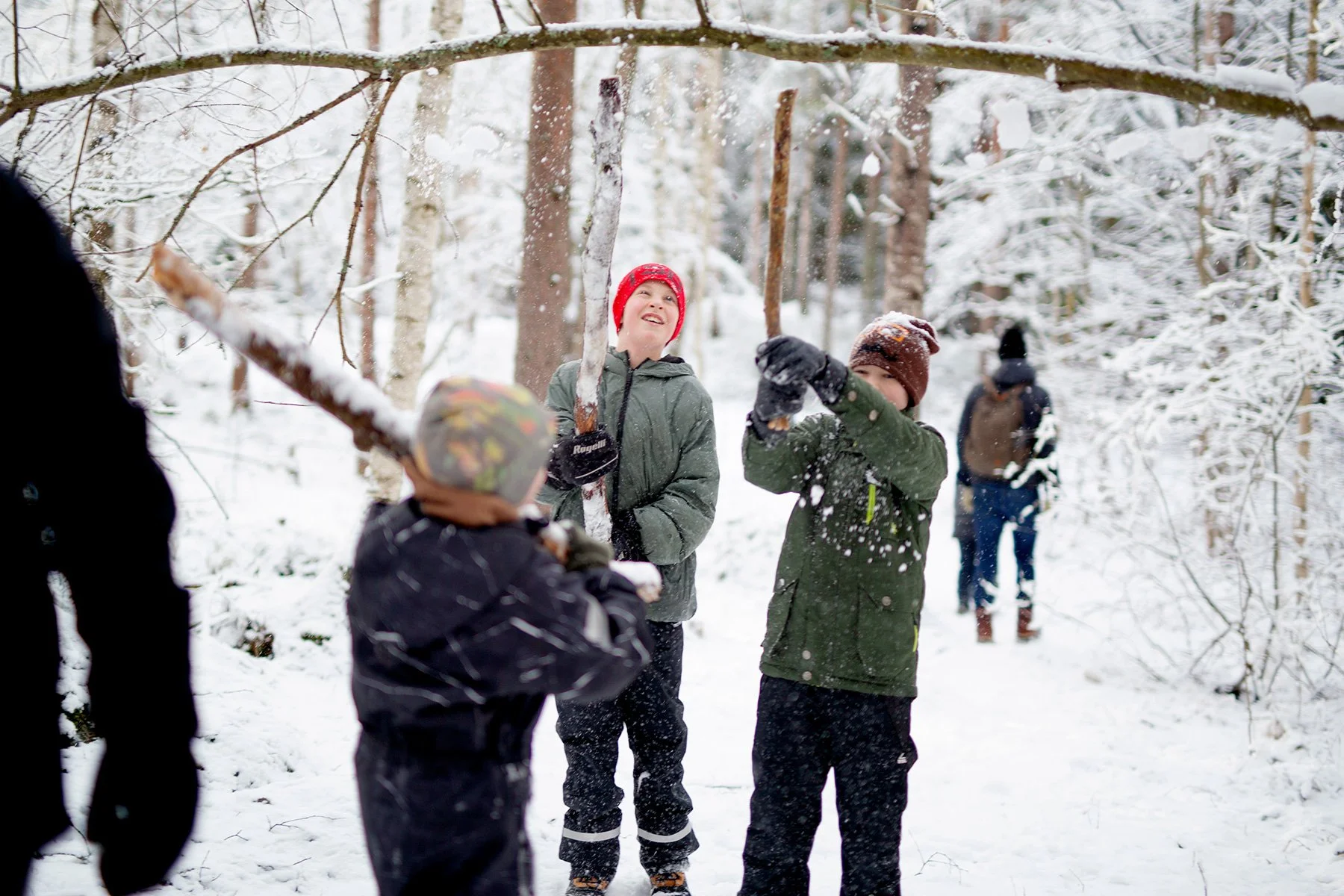 blogg-220219gommarenskogen6.jpg