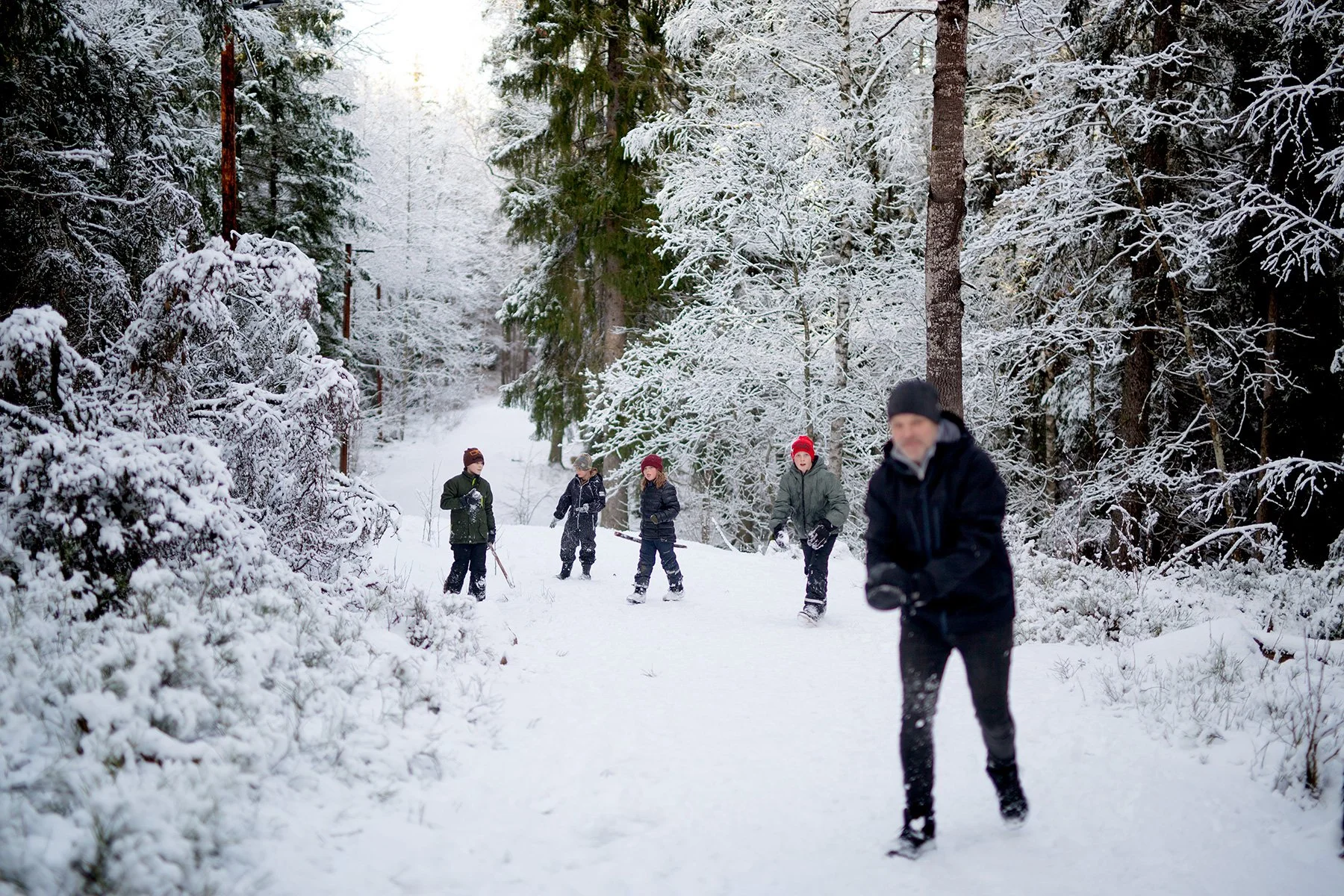 blogg-220219gommarenskogen8.jpg