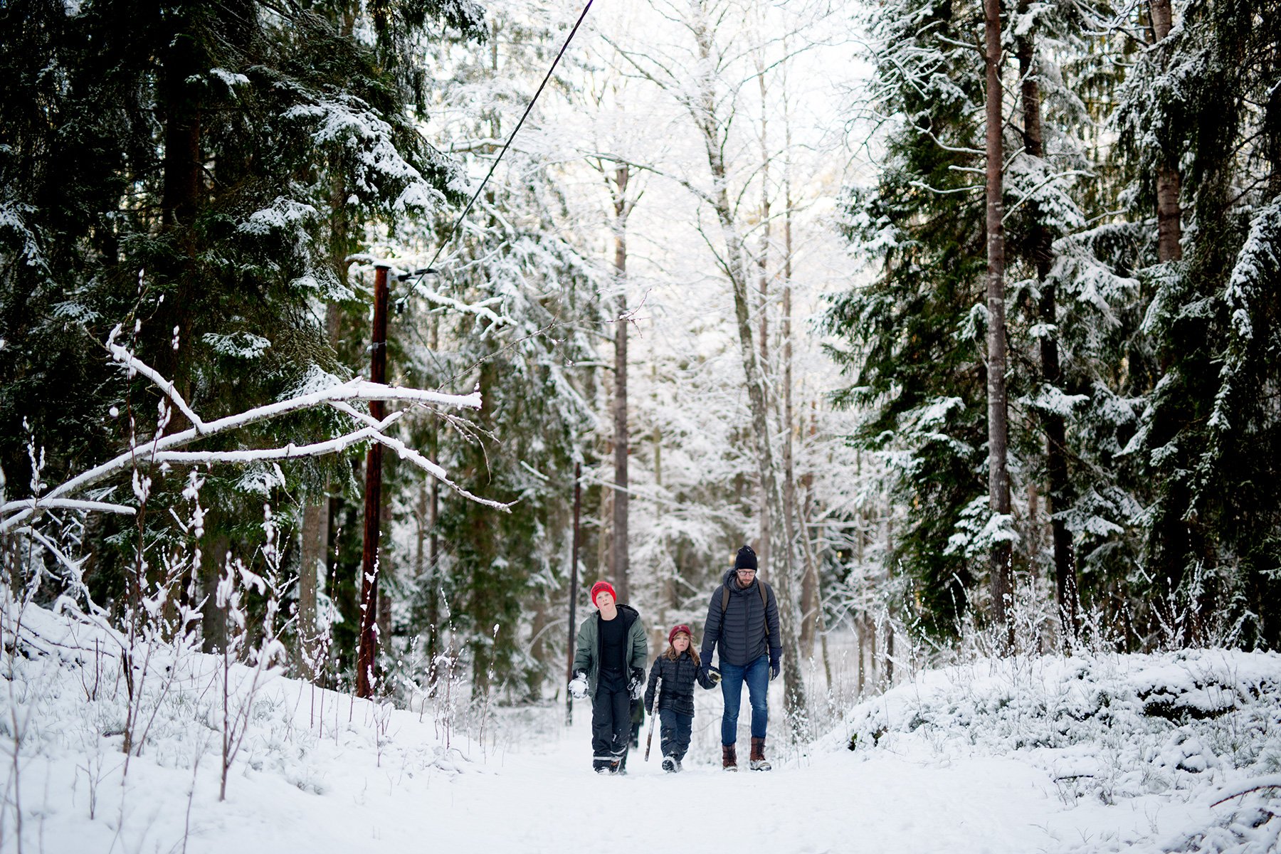 blogg-220219gommarenskogen12.jpg