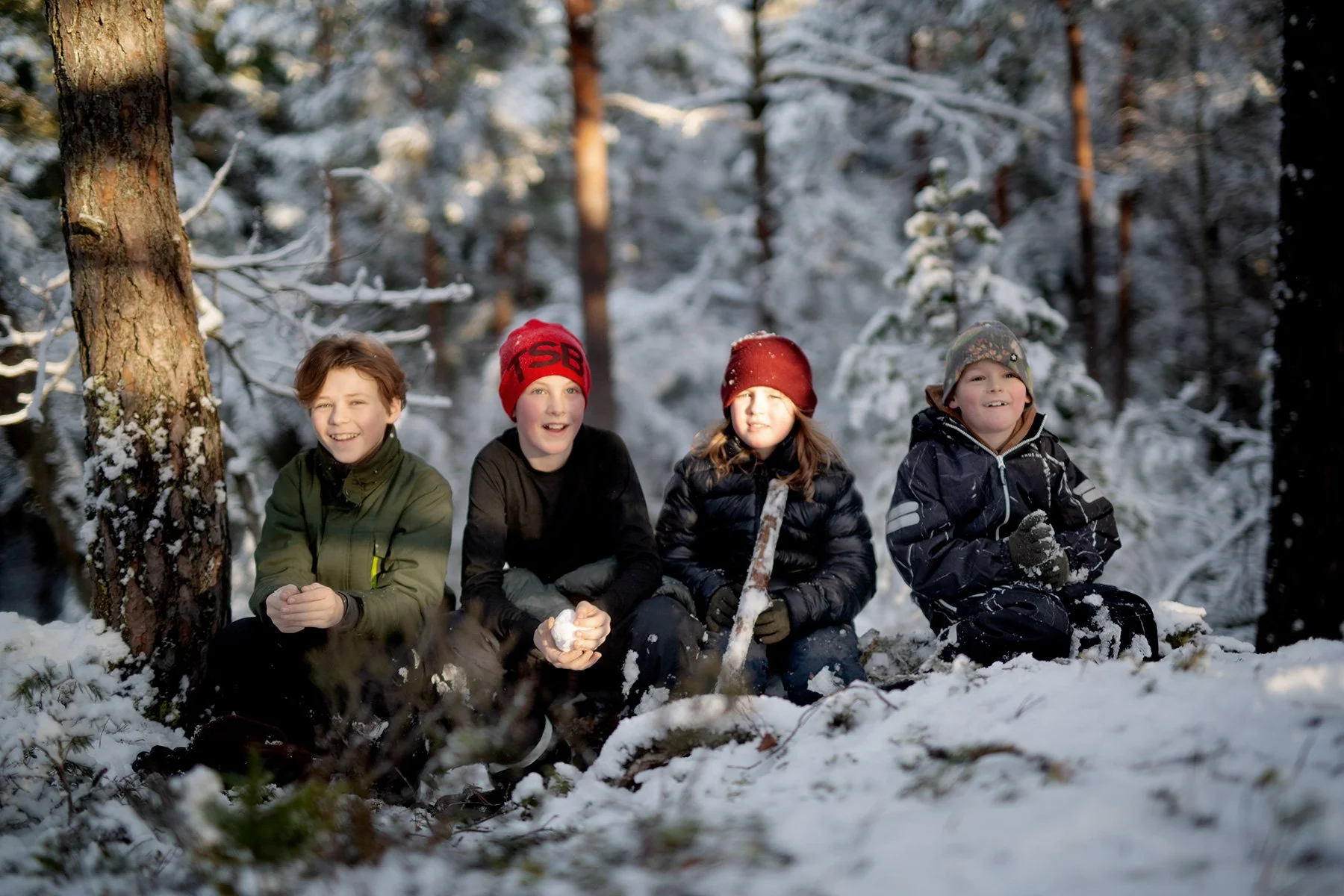 blogg-220219gommarenskogen16.jpg