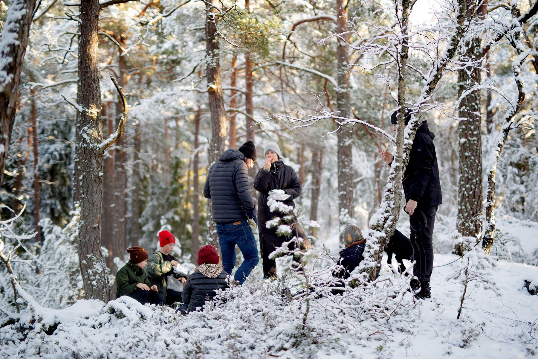 blogg-220219gommarenskogen17.jpg