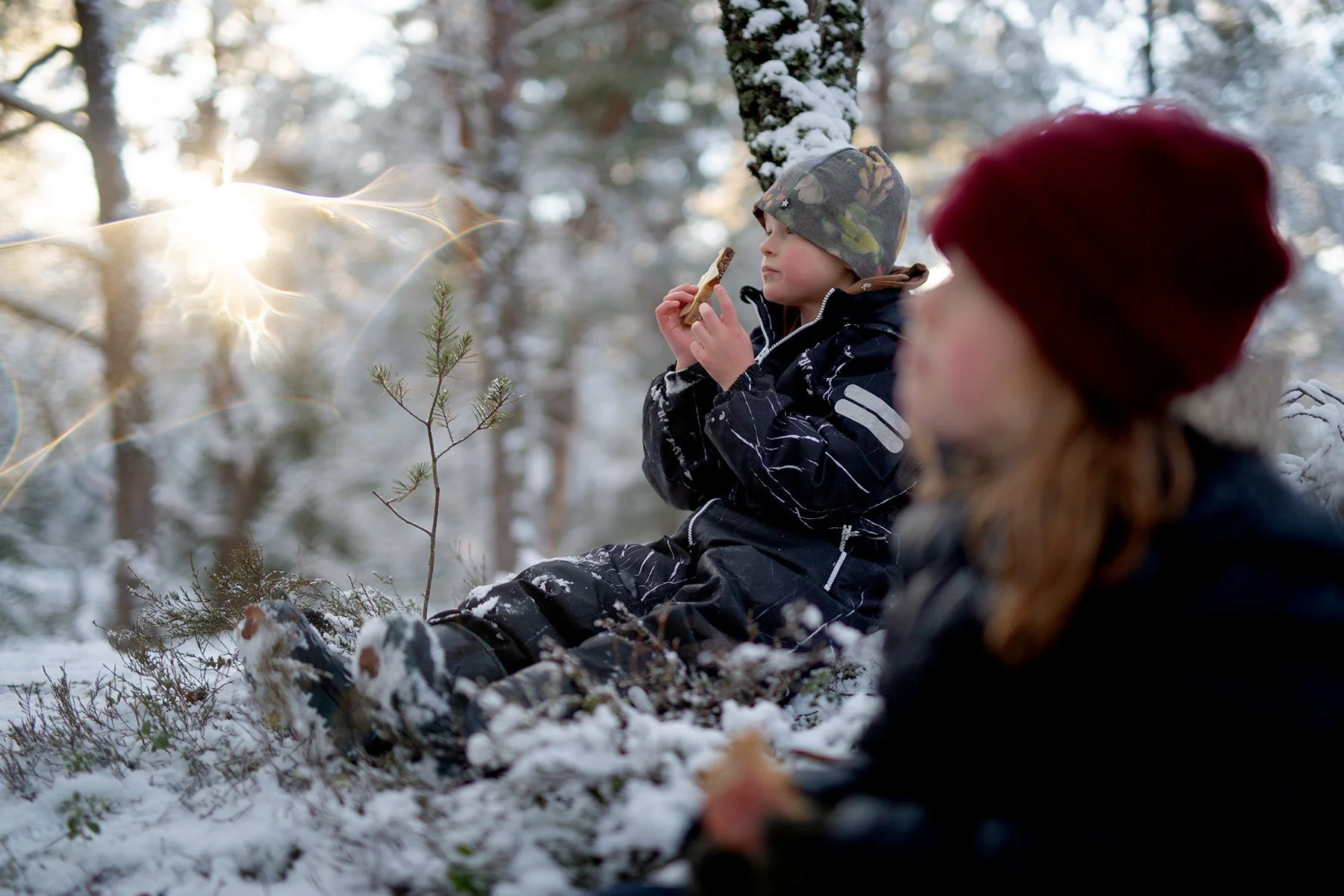 blogg-220219gommarenskogen19.jpg