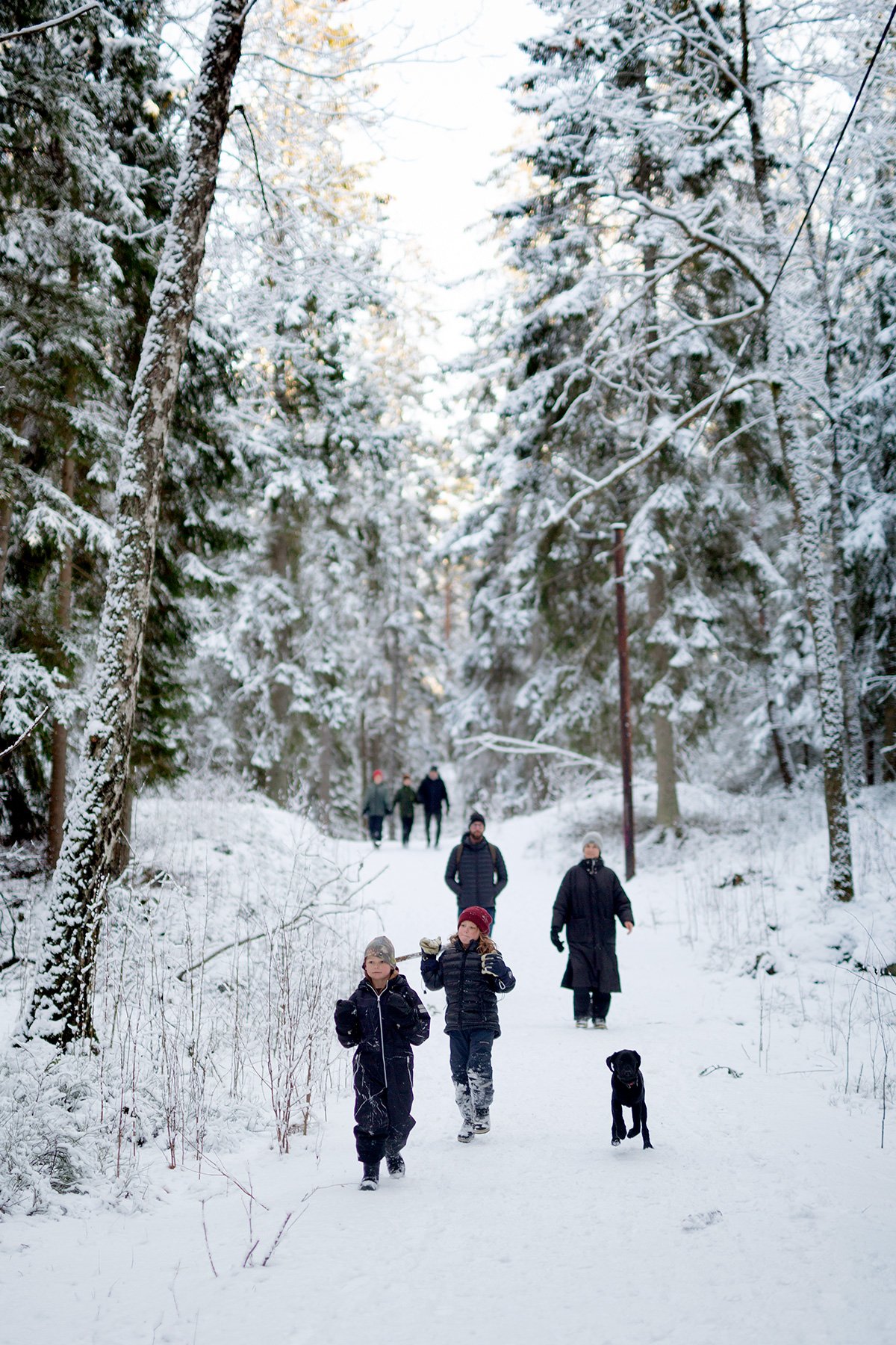 blogg-220219gommarenskogen24.jpg