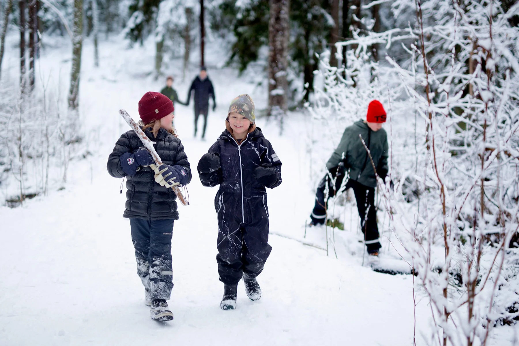blogg-220219gommarenskogen27.jpg