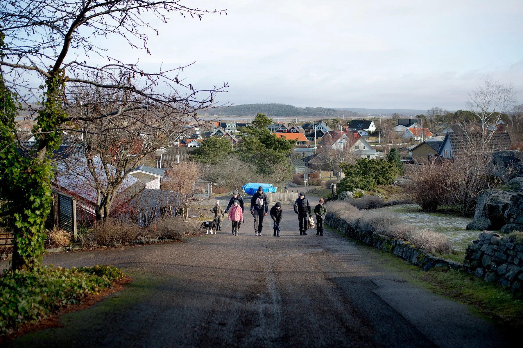 blogg-220225vindskyddetkroks1.jpg