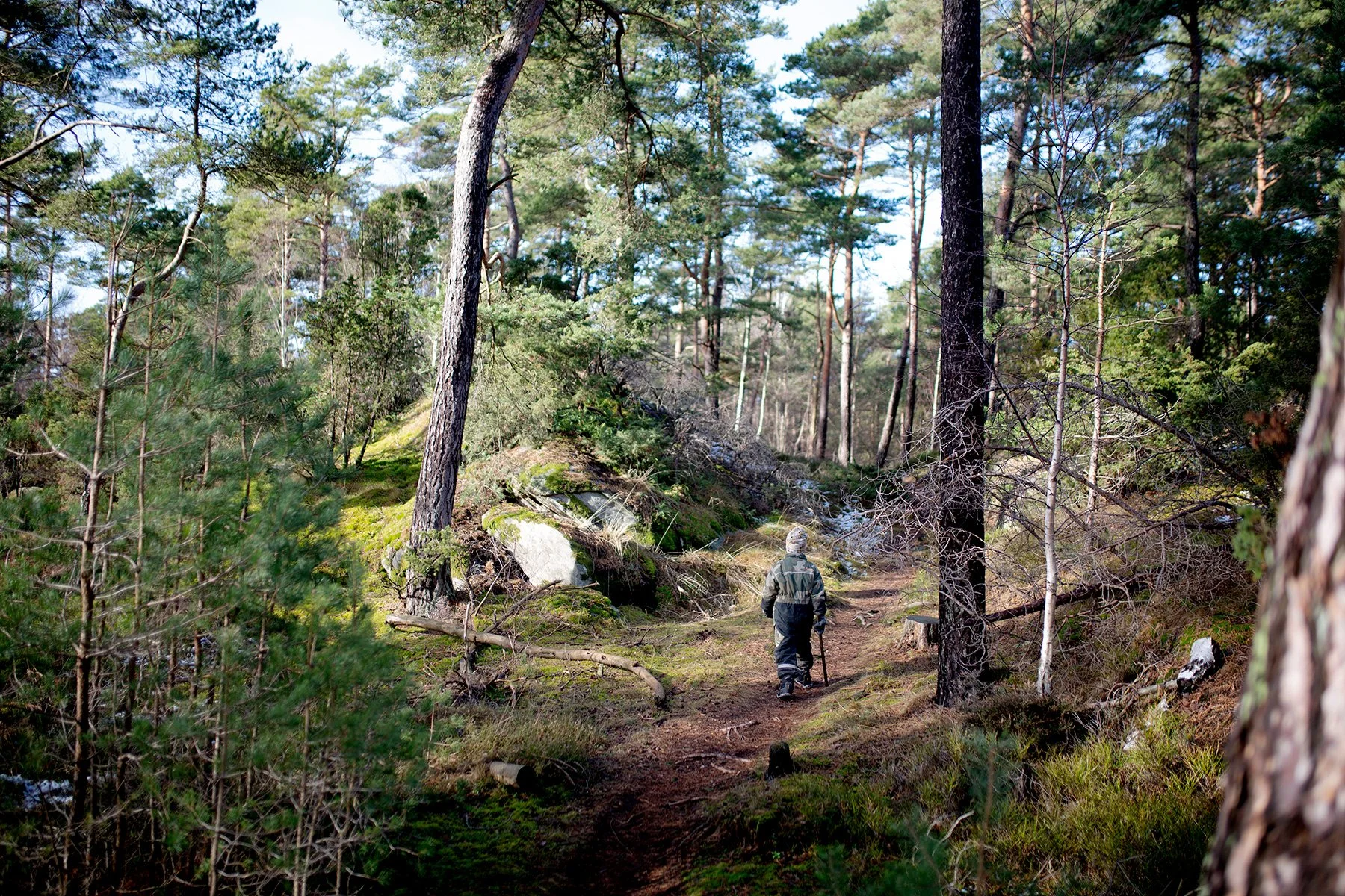 blogg-220225vindskyddetkroks3.jpg