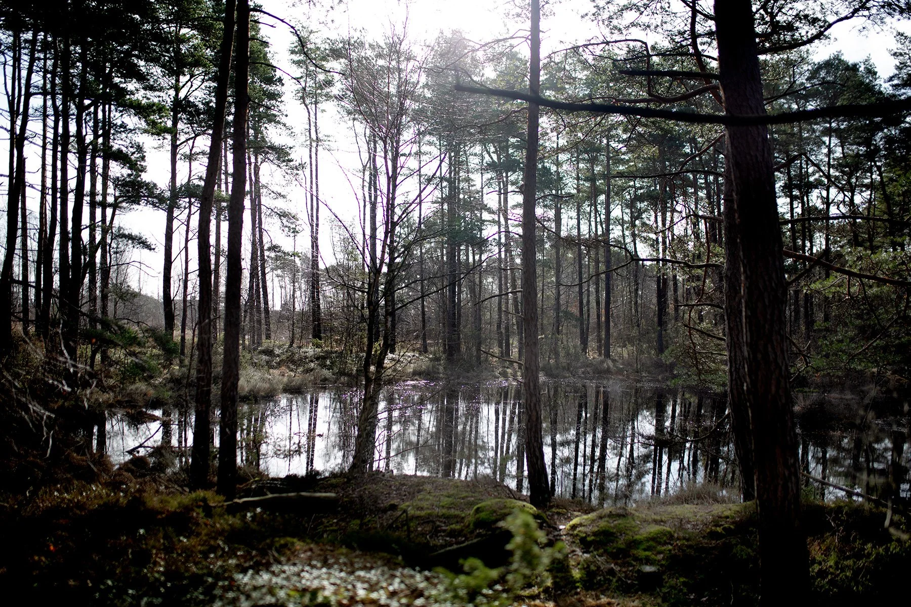 blogg-220225vindskyddetkroks5.jpg
