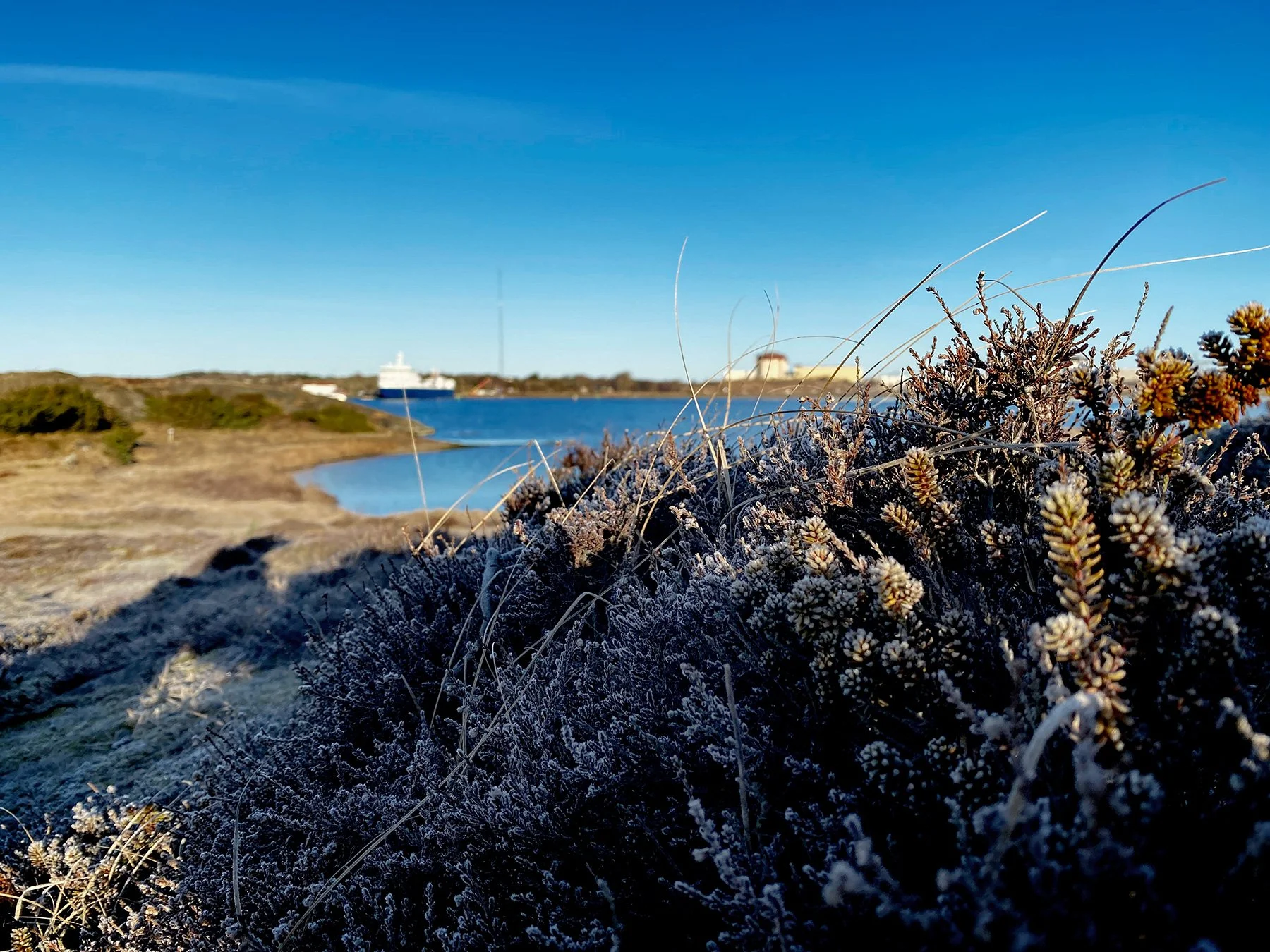 blogg-220304solmorgon3.jpg