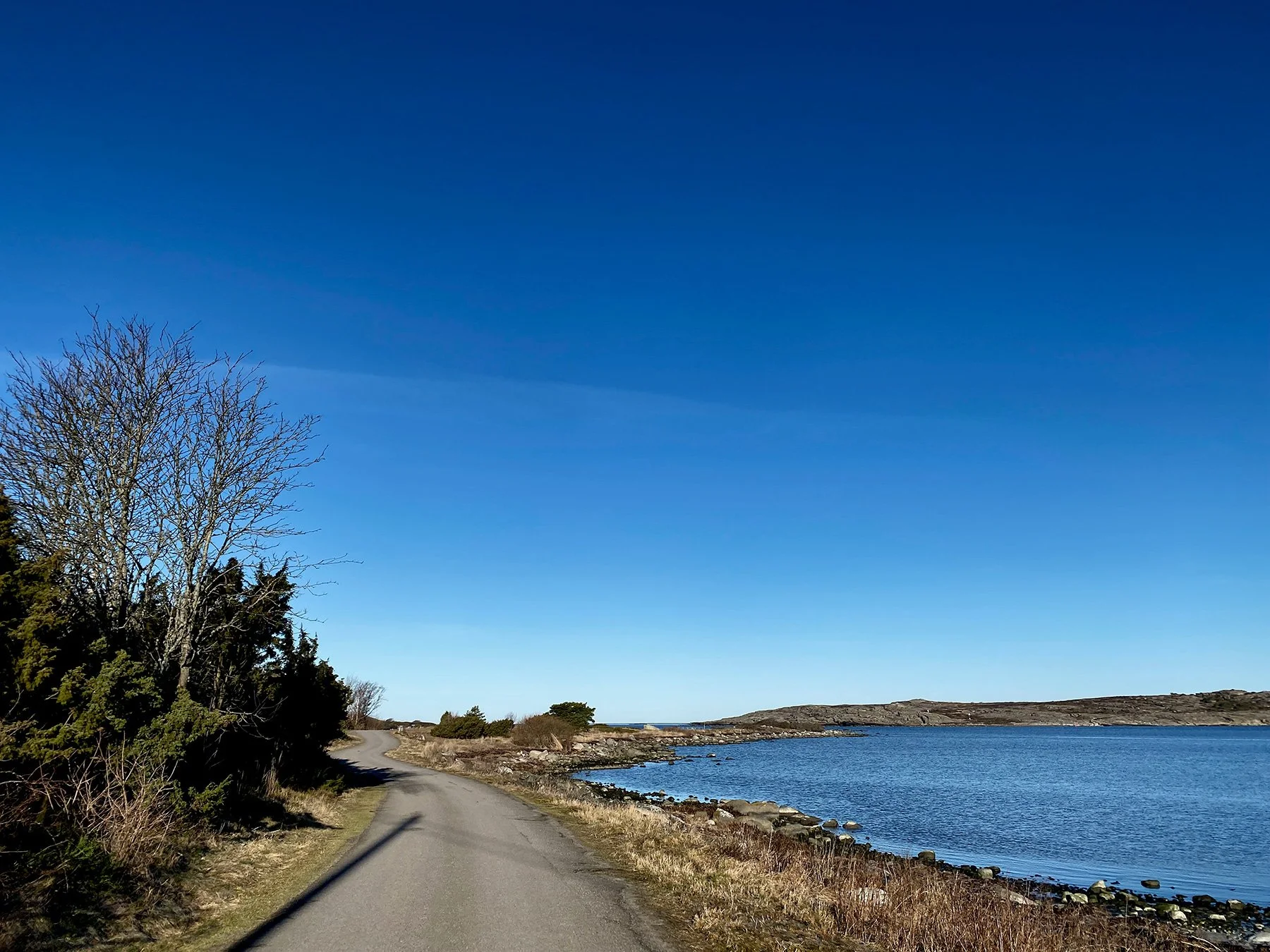 blogg-220304solmorgon6.jpg