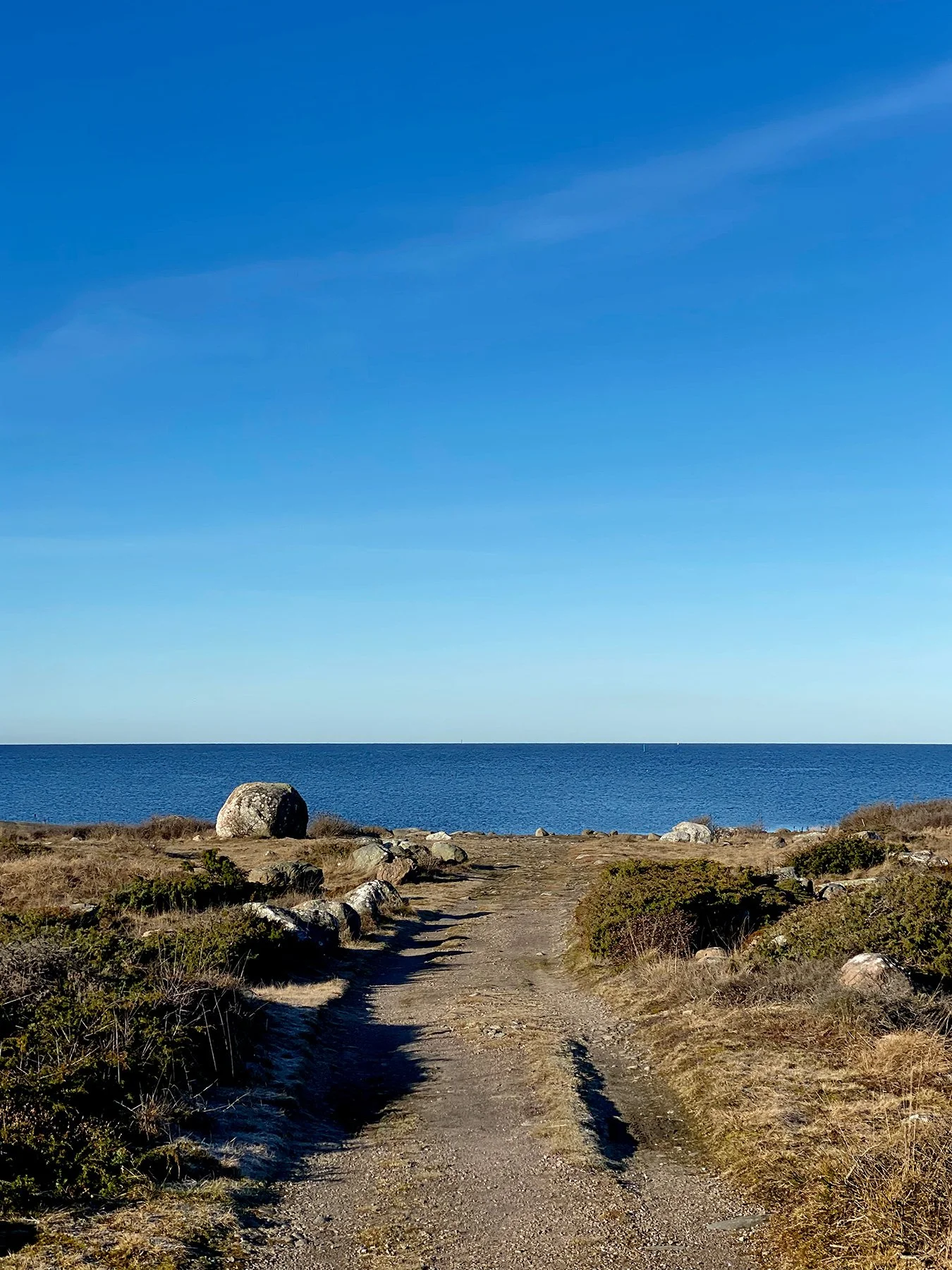 blogg-220304solmorgon7.jpg