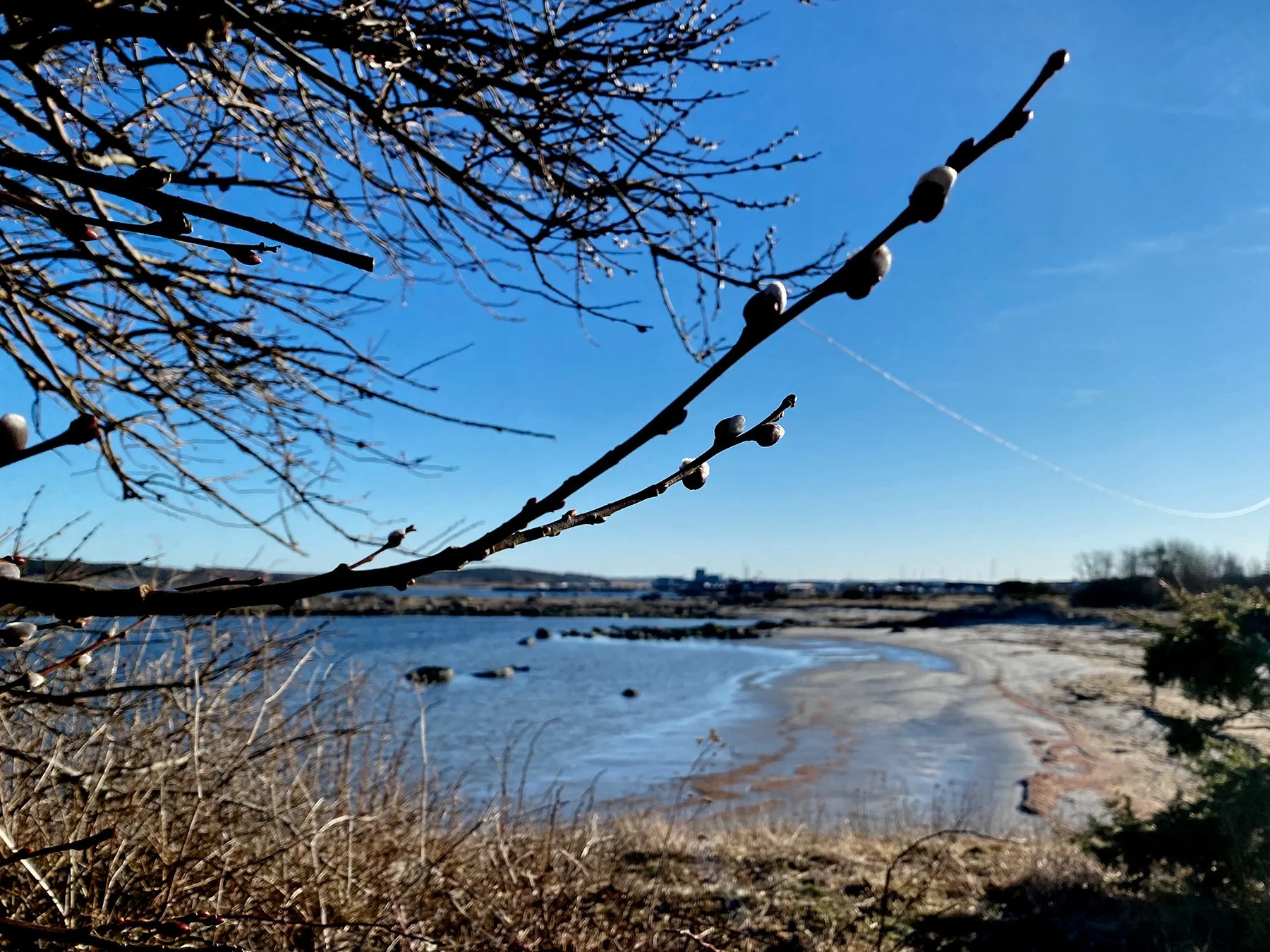 blogg-220304solmorgon10.jpg