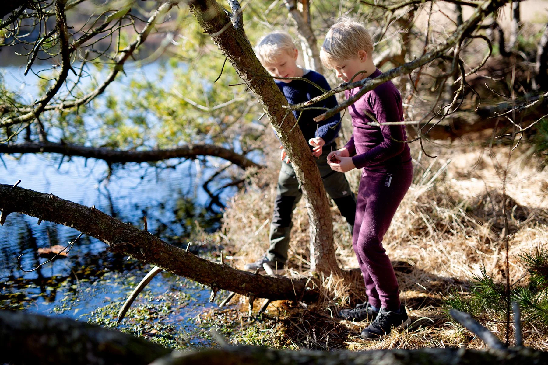 blogg-220319vindskyddet3.jpg