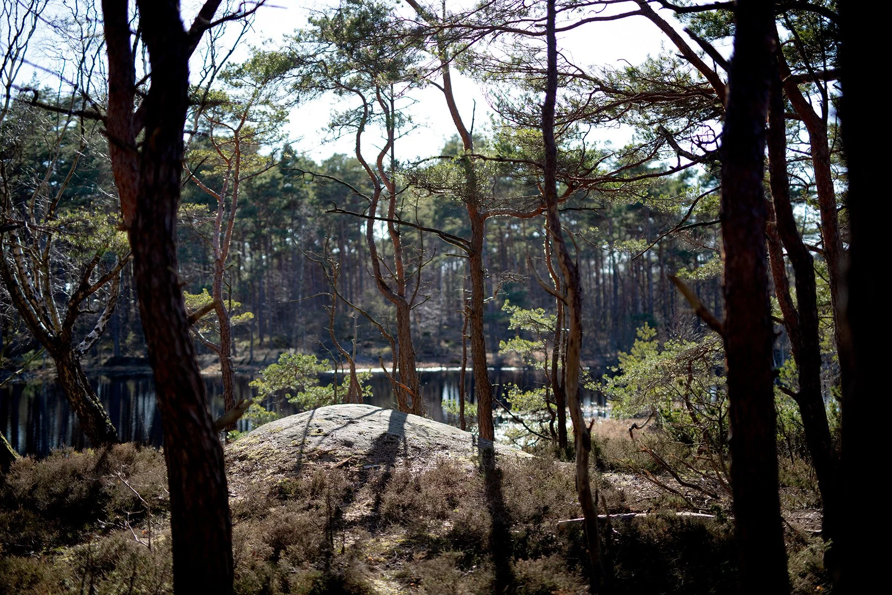 blogg-220319vindskyddet6.jpg