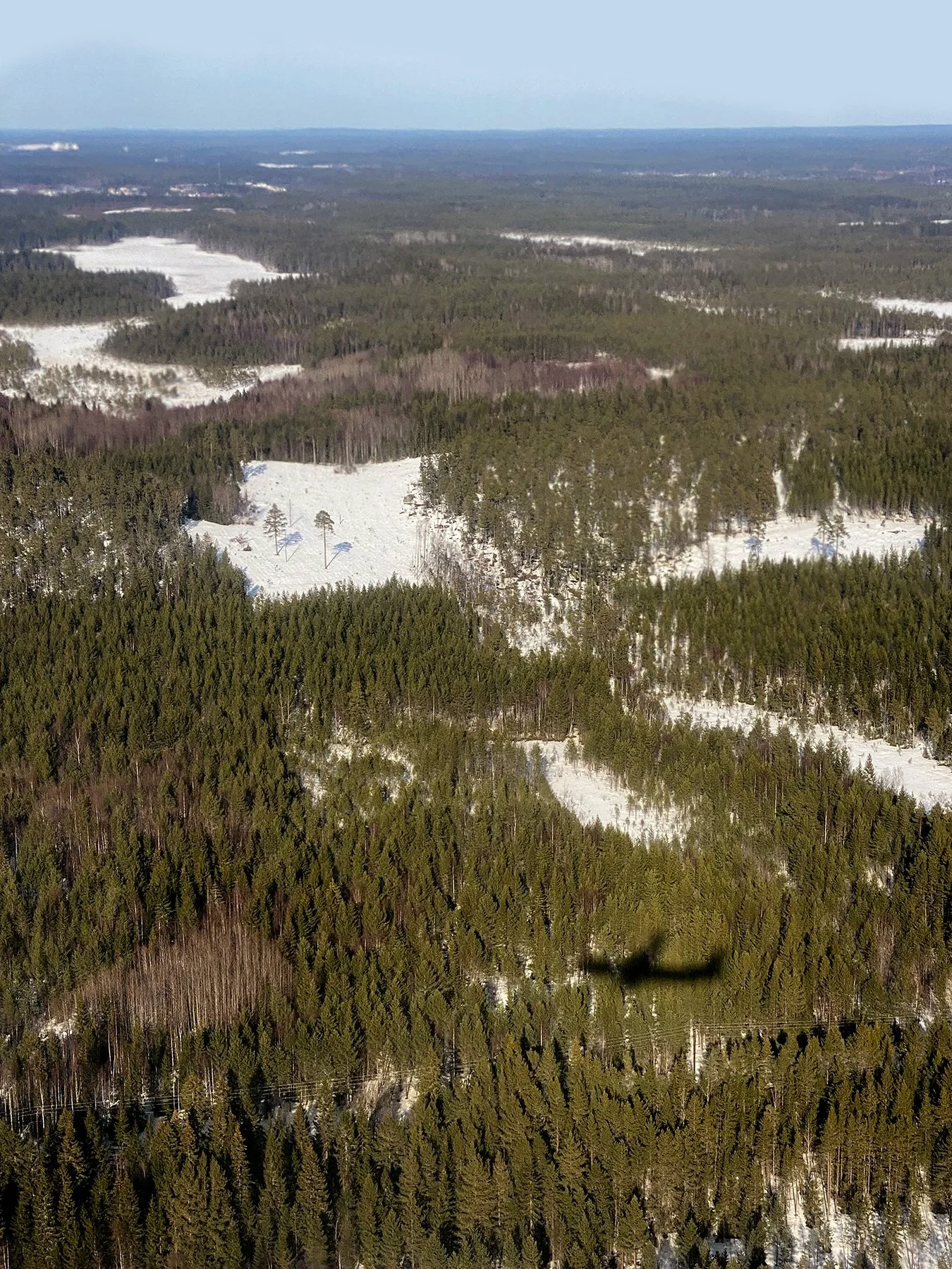 blogg-220320flygtillumea8.jpg