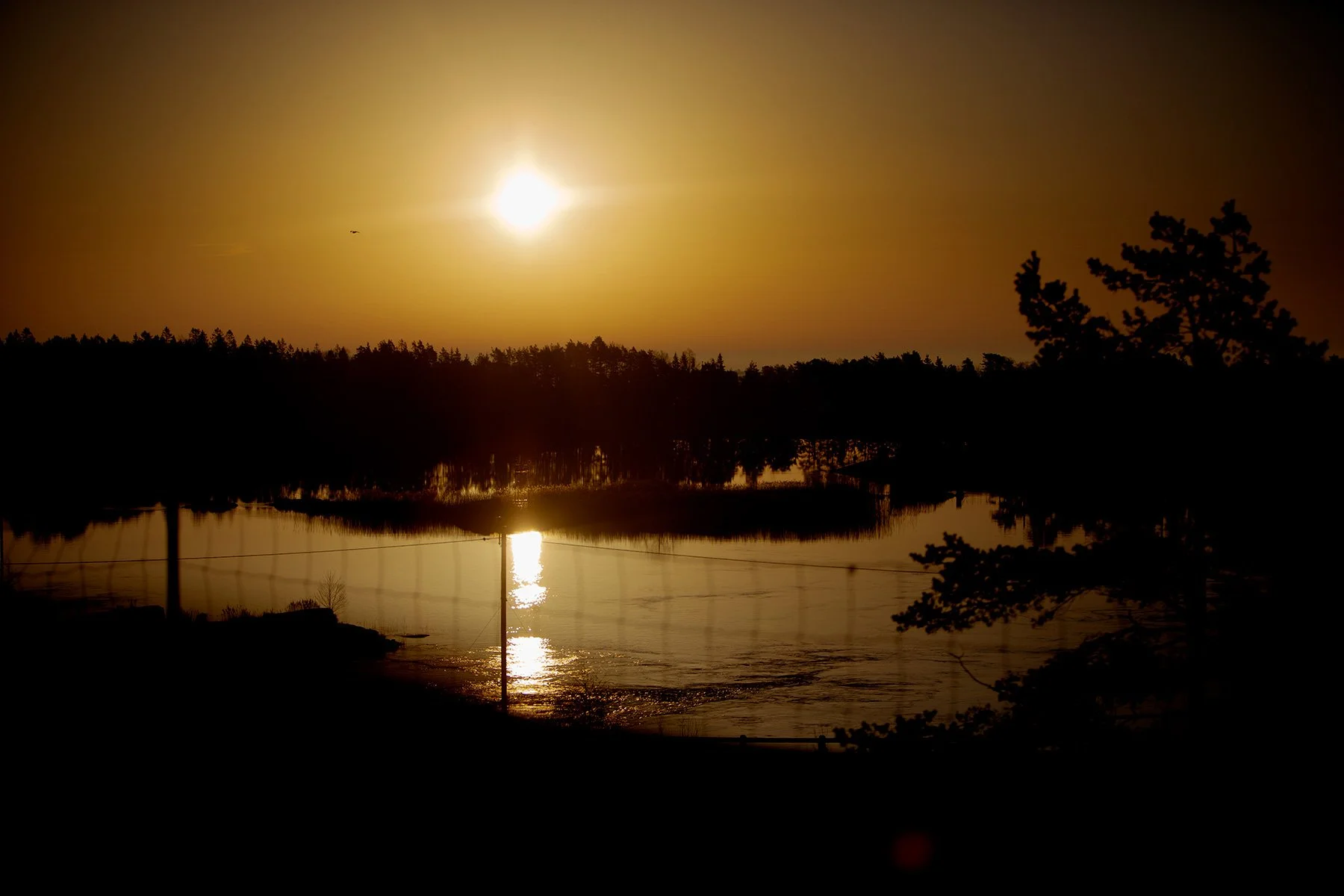 blogg-220324tillbranas3.jpg