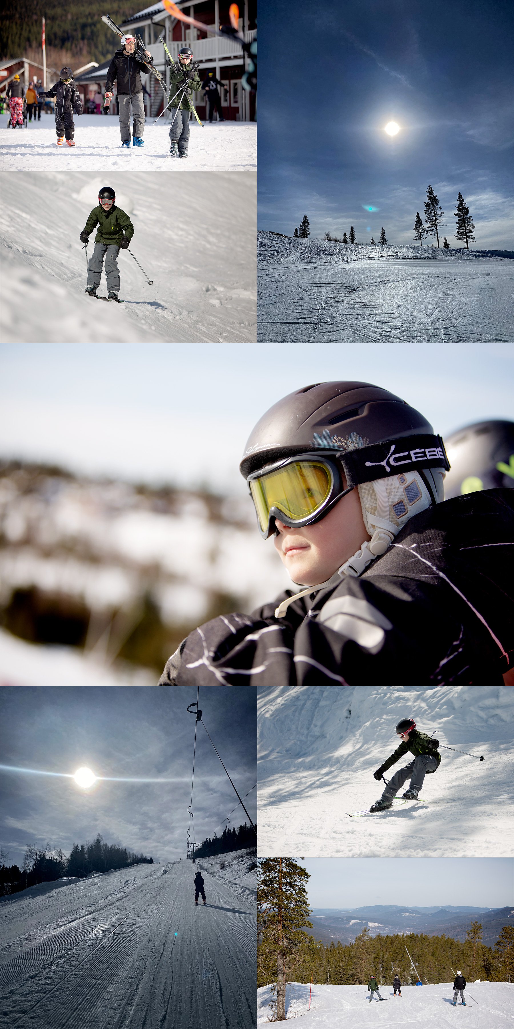 Ny dag i backen