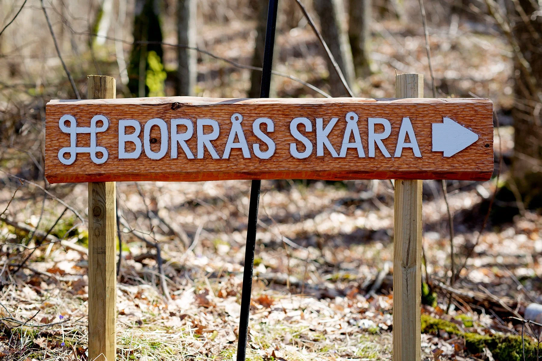 blogg-220411borrasskara5.jpg